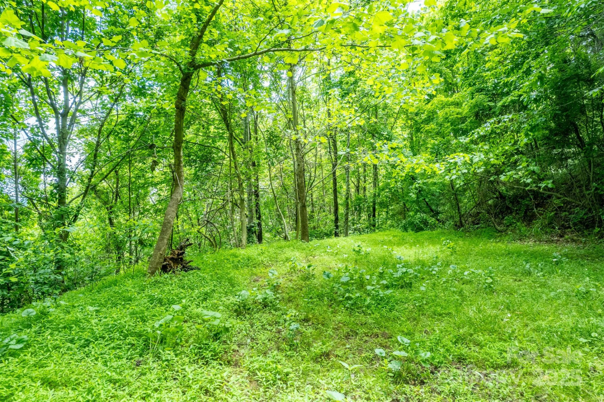 15 Larkspur Way #15 - Photo 13