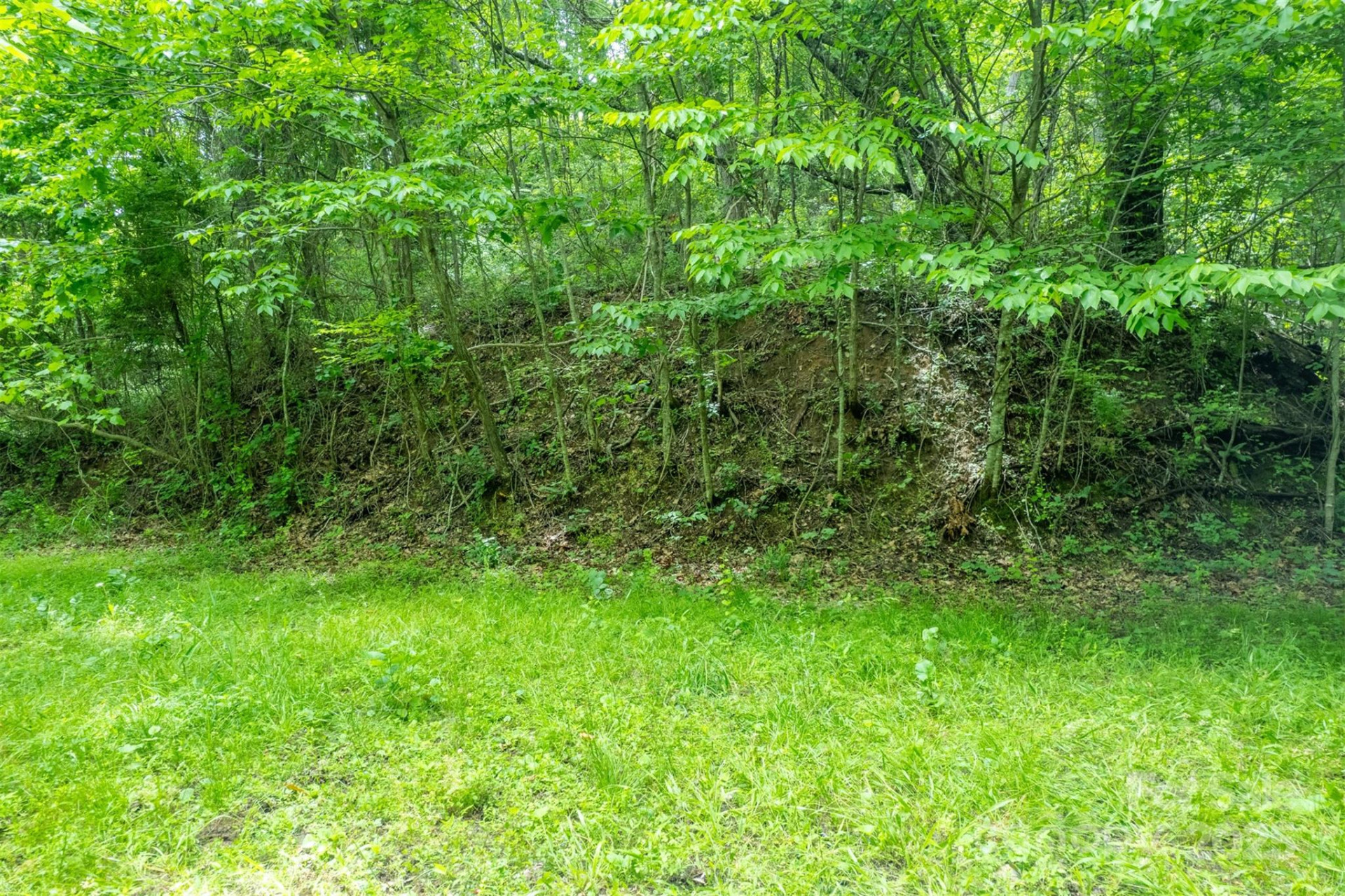 15 Larkspur Way #15 - Photo 14