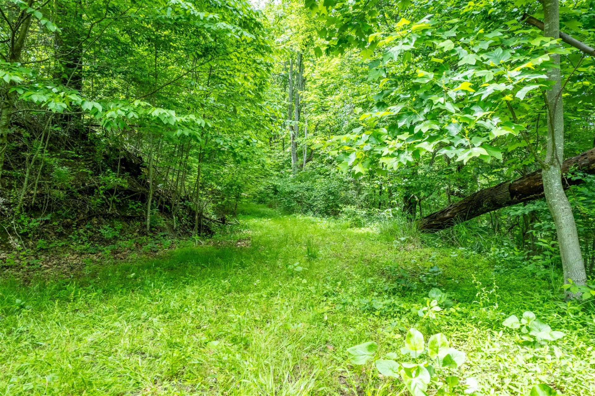 15 Larkspur Way #15 - Photo 15