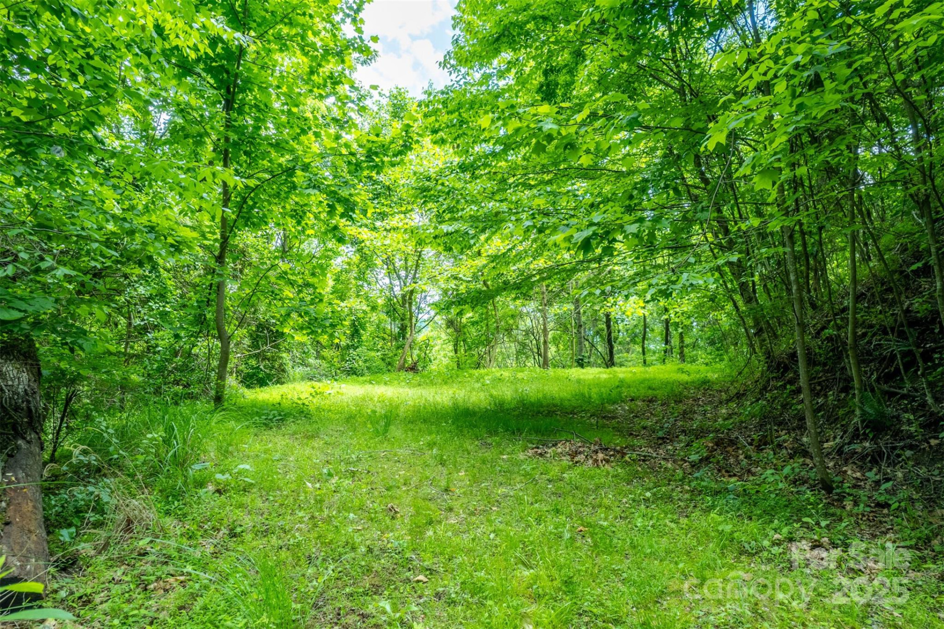 15 Larkspur Way #15 - Photo 16