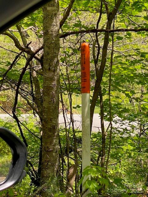 15 Larkspur Way #15 - Photo 22