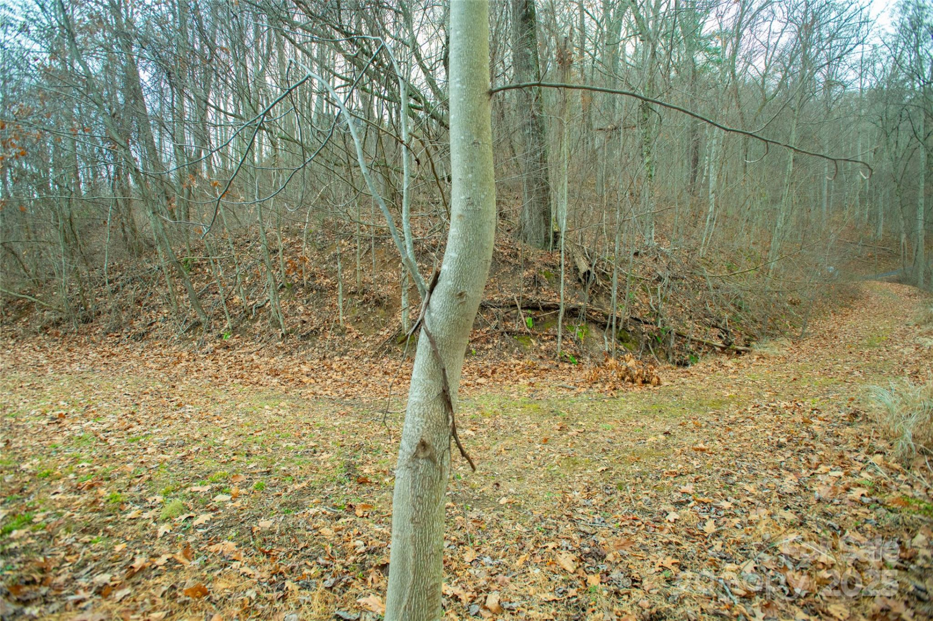 15 Larkspur Way #15 - Photo 26