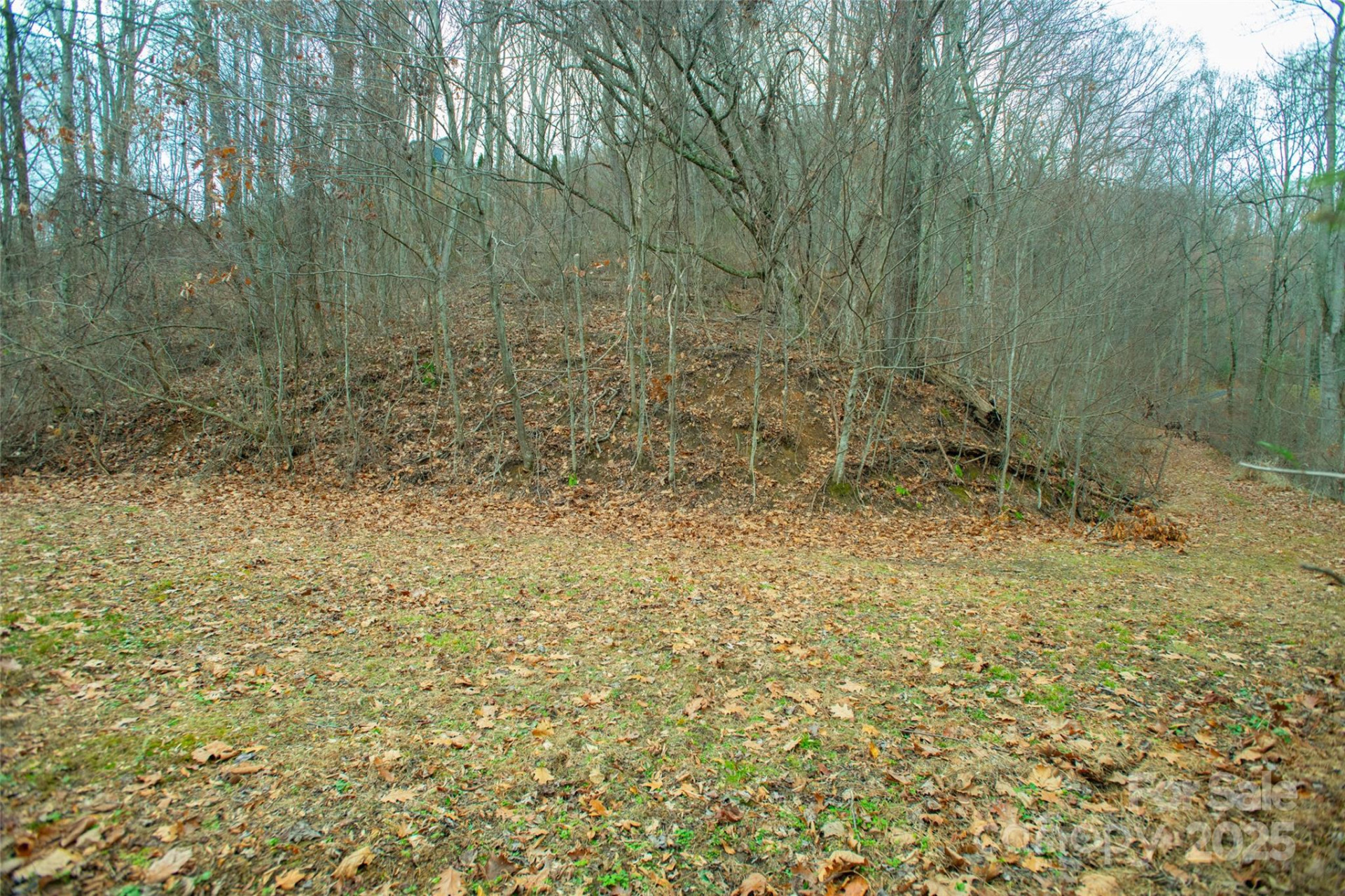 15 Larkspur Way #15 - Photo 27