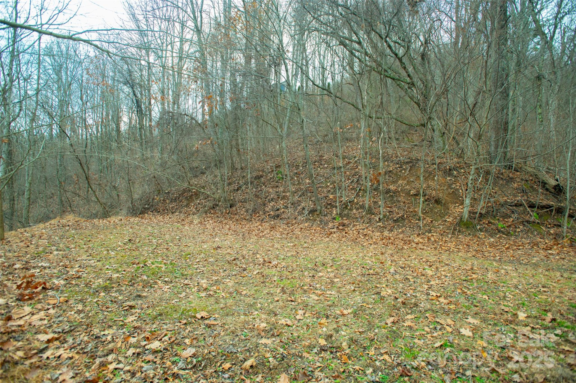 15 Larkspur Way #15 - Photo 28