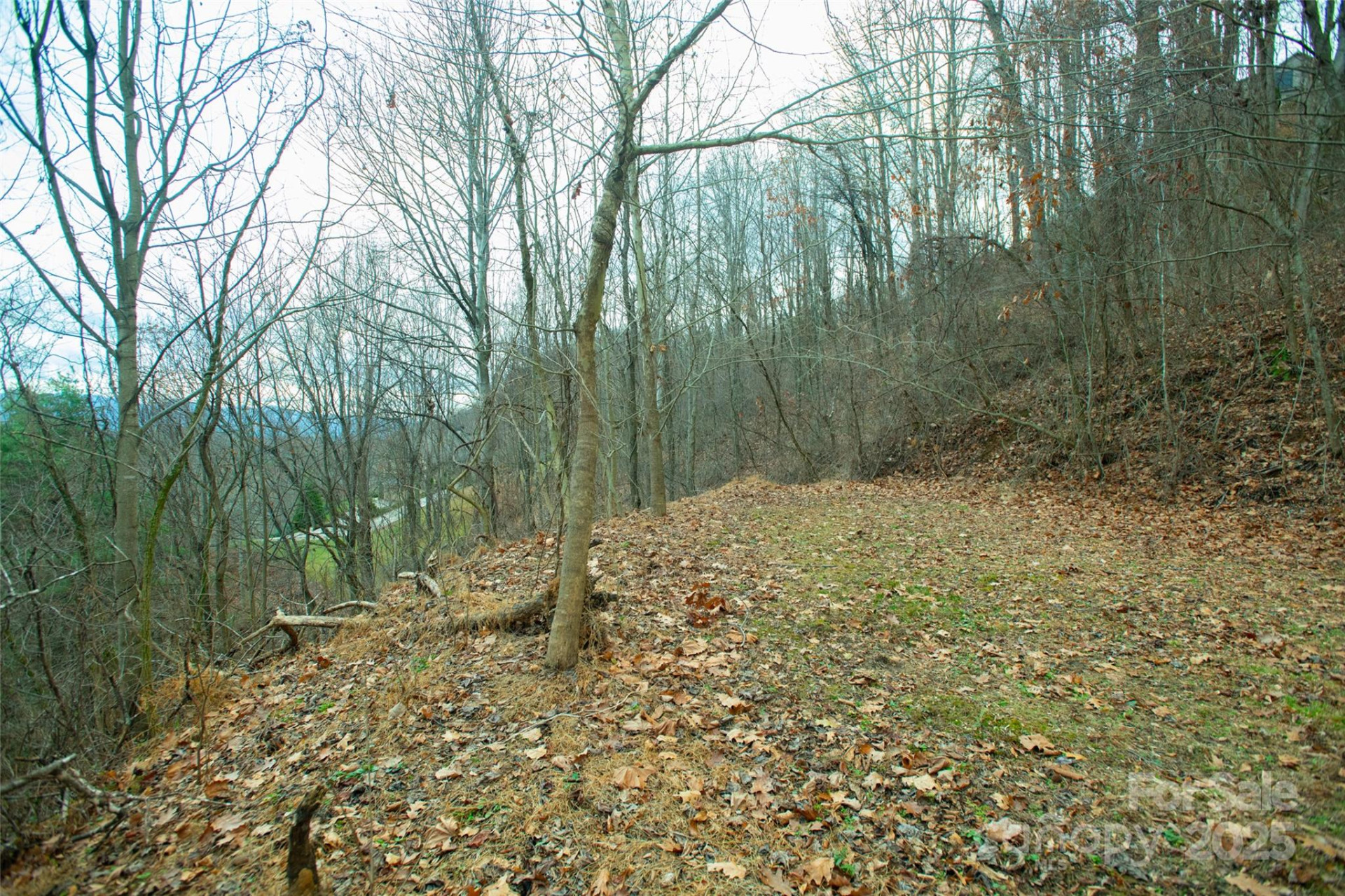 15 Larkspur Way #15 - Photo 29