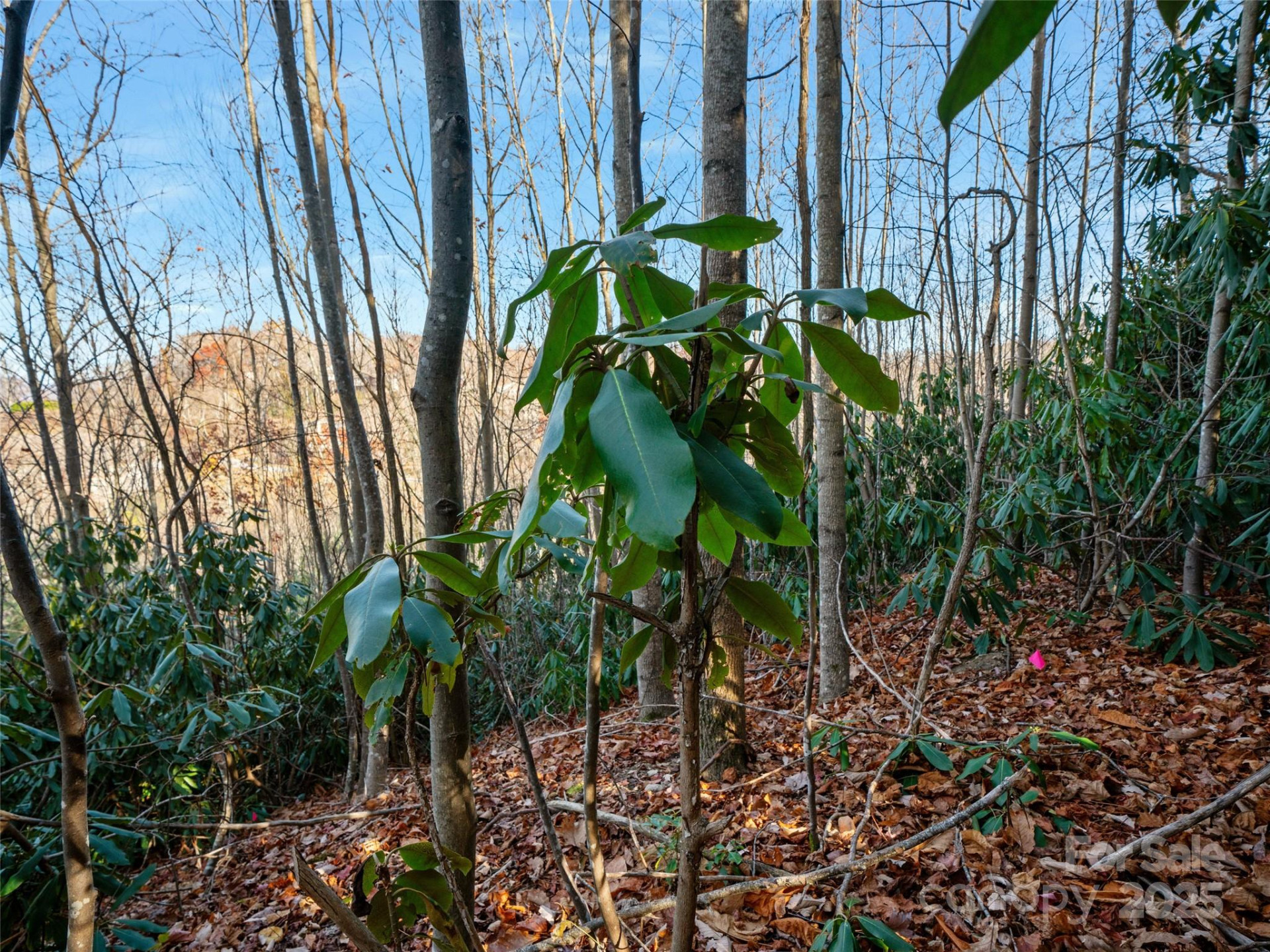 99999 Bay Laurel Lane - Photo 16