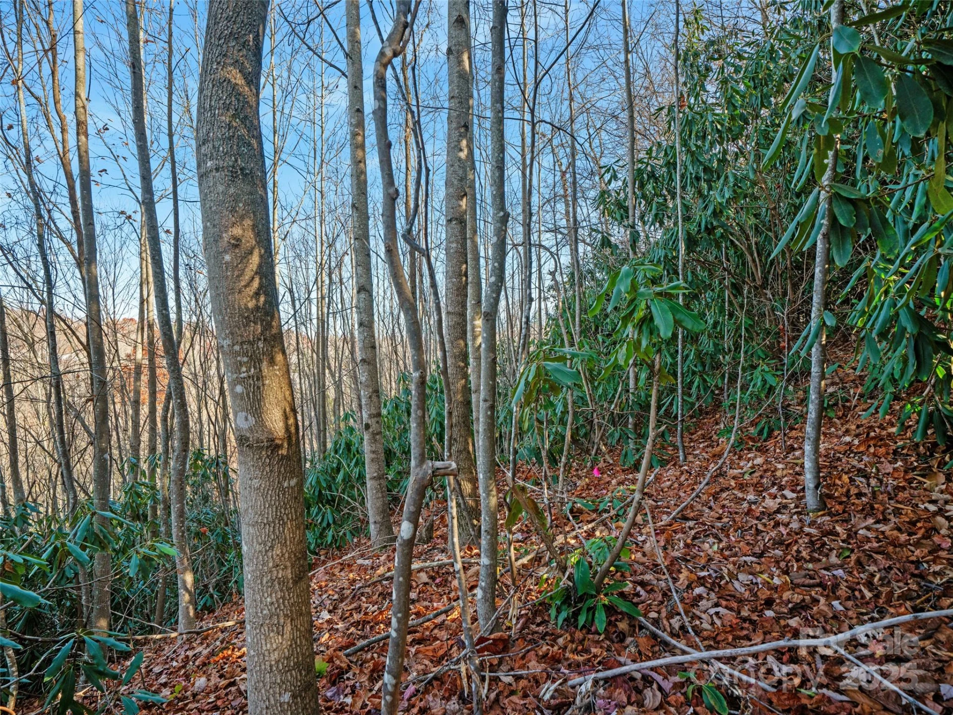 99999 Bay Laurel Lane - Photo 17
