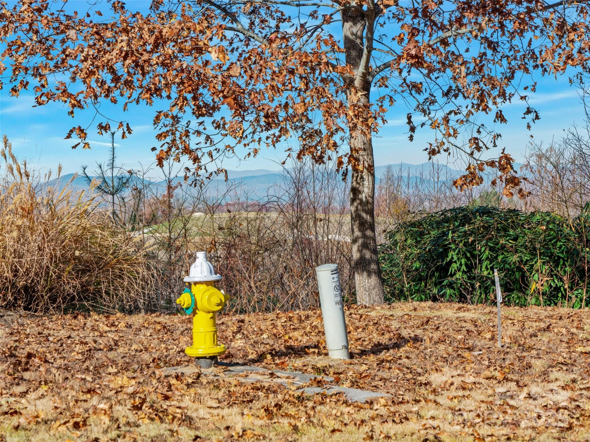 99999 Bay Laurel Lane - Photo 8