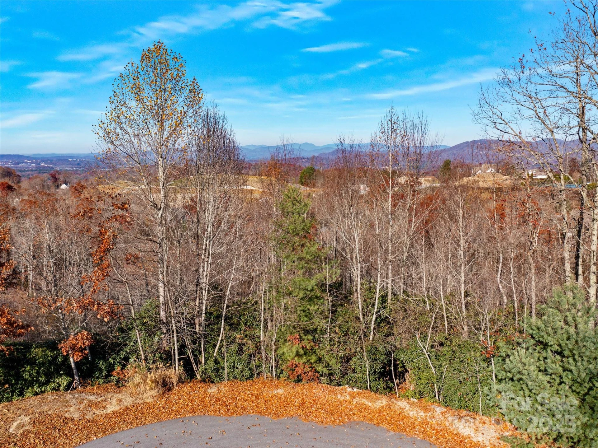 99999 Bay Laurel Lane - Photo 10