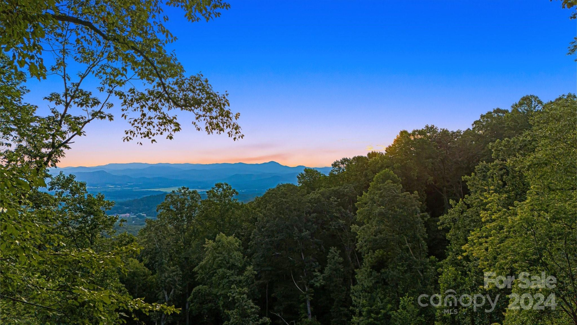 LOT 51 Mountain Grove Lane - Photo 4