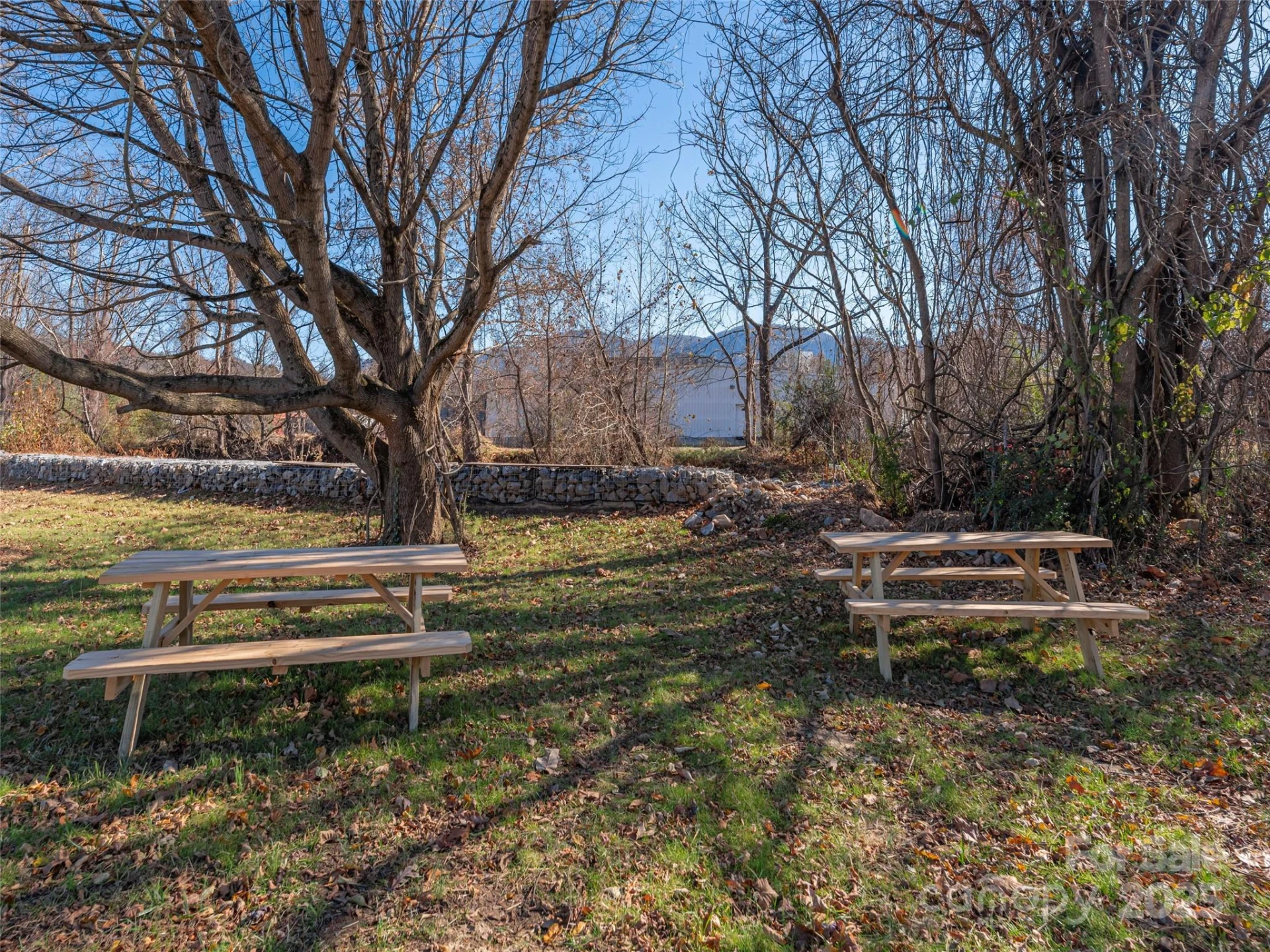15 Leap Frog Park - Photo 20