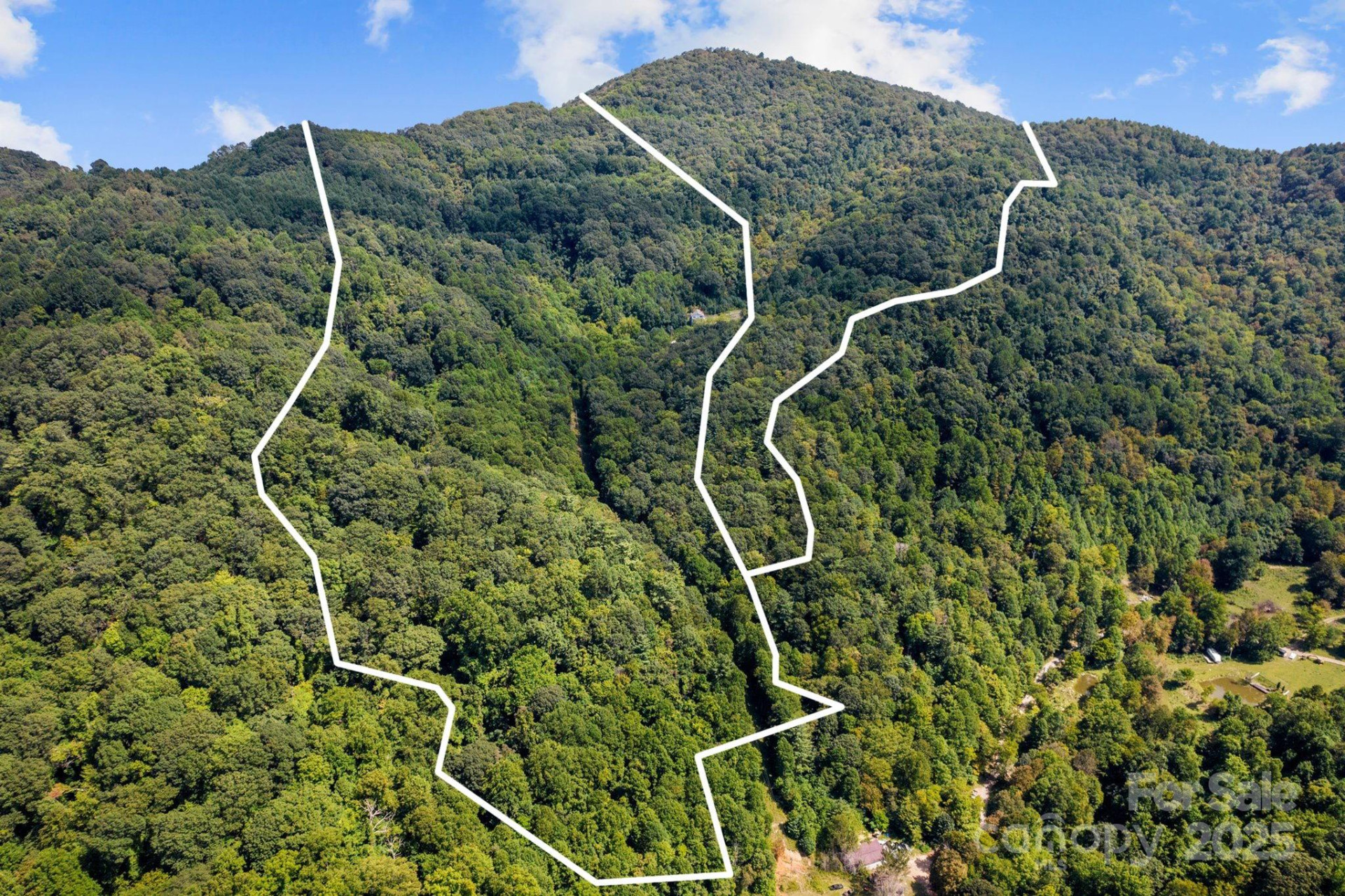 505 Old Home Place Drive - Photo 2