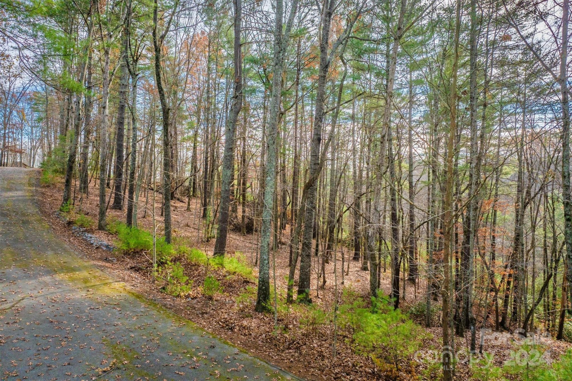 133 James Bob Stafford Drive - Photo 2