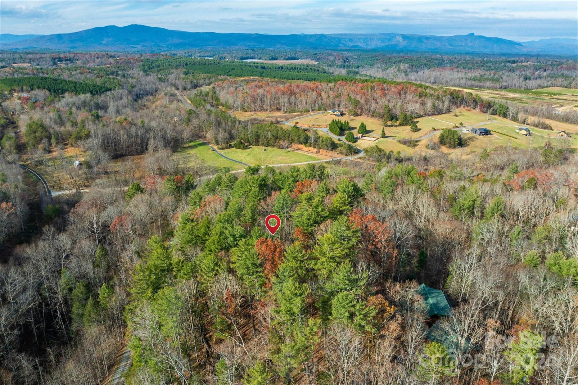 133 James Bob Stafford Drive - Photo 11