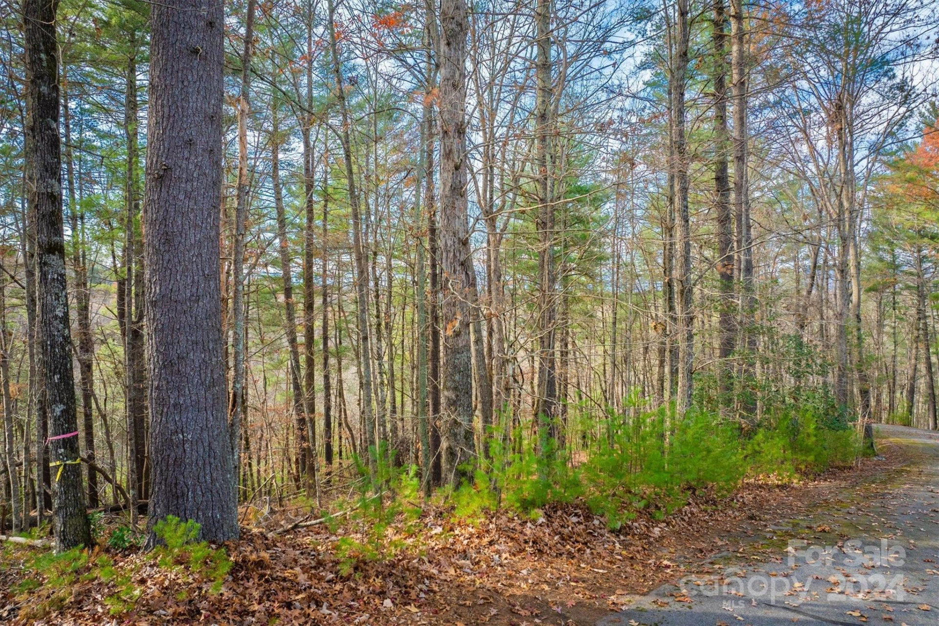 133 James Bob Stafford Drive - Photo 3