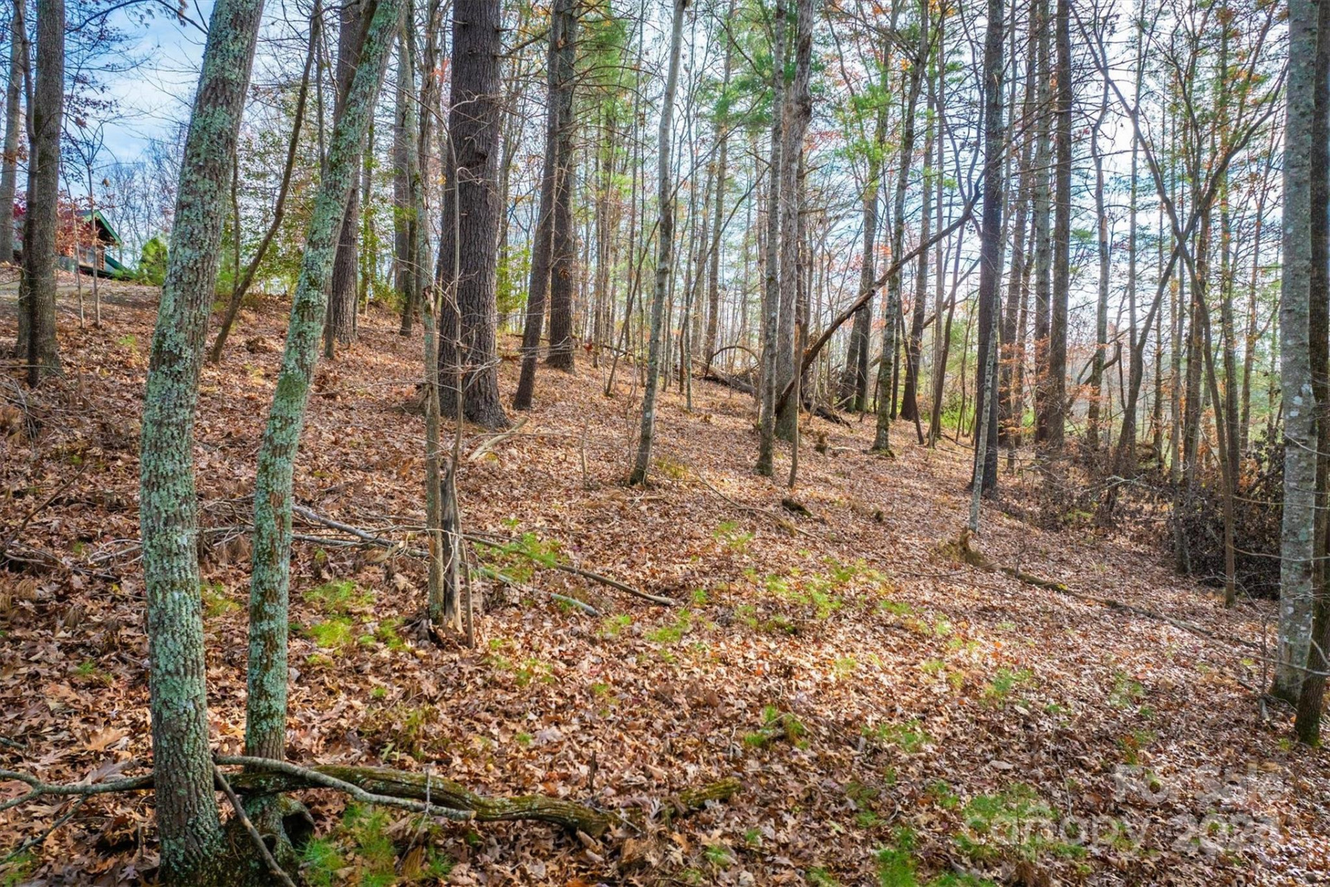 133 James Bob Stafford Drive - Photo 5