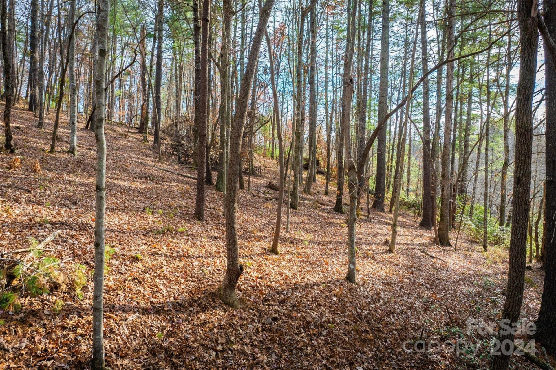 133 James Bob Stafford Drive - Photo 6