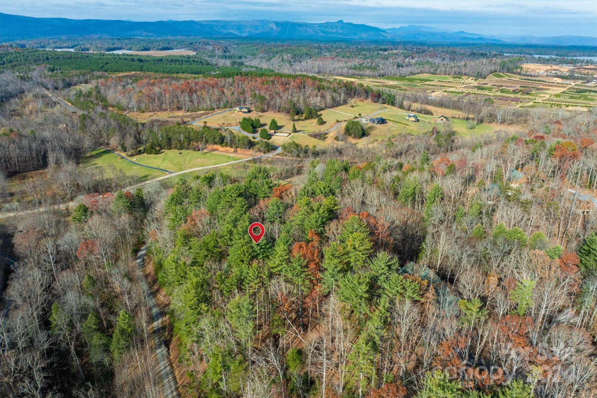 133 James Bob Stafford Drive - Photo 10