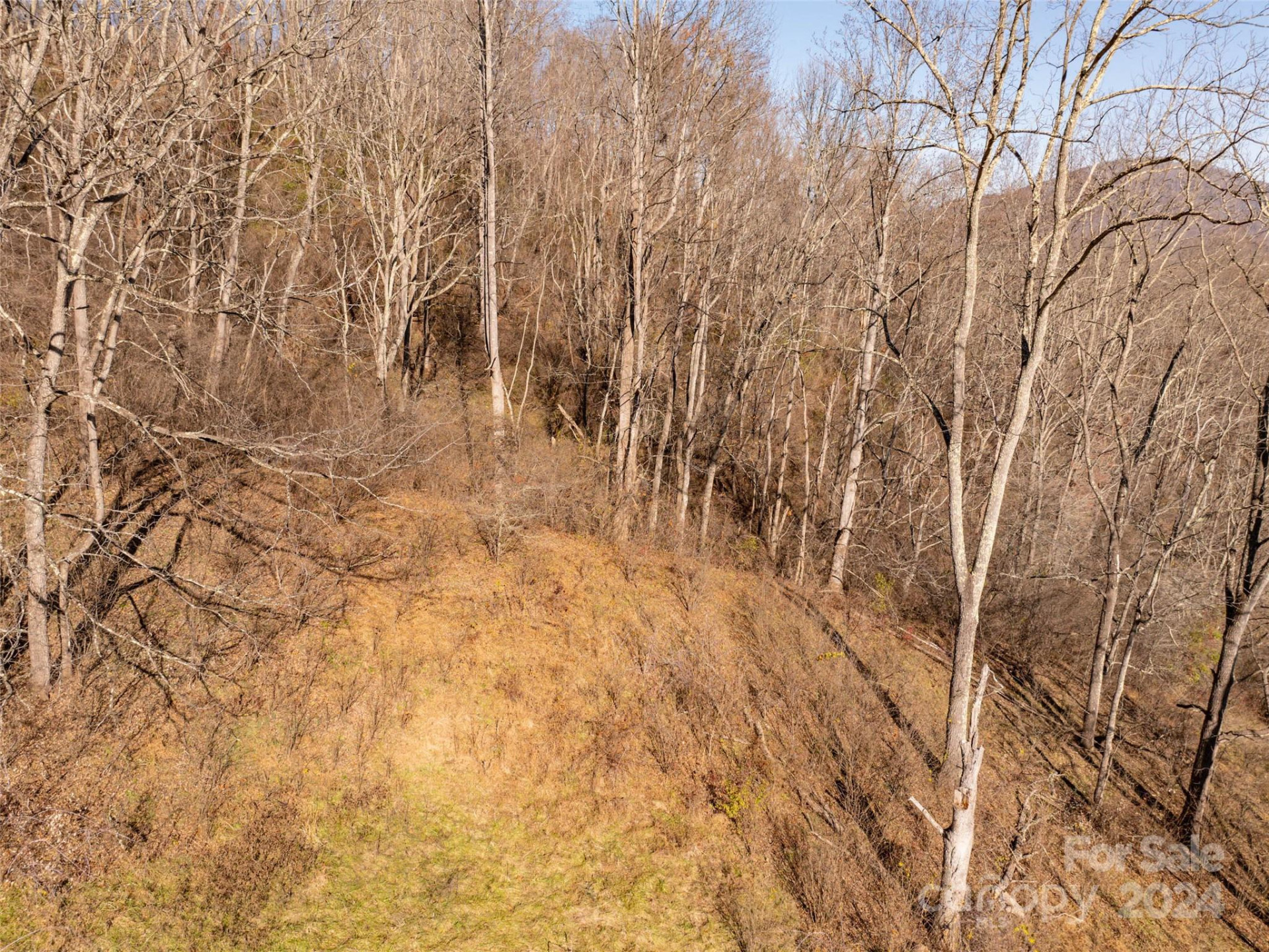 TBD Belmont Drive - Photo 15