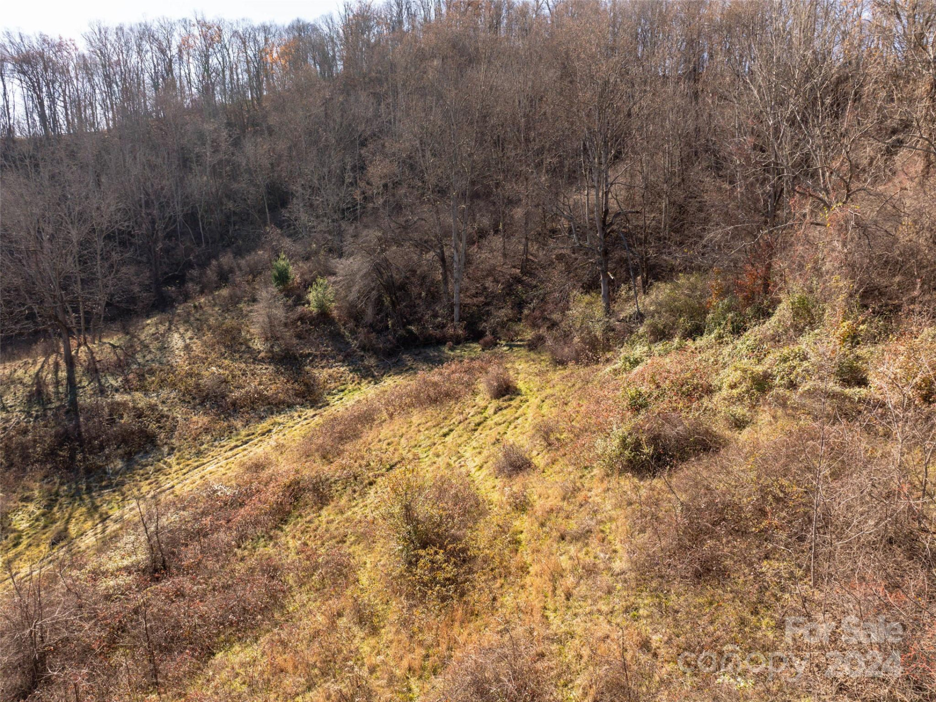 TBD Belmont Drive - Photo 16