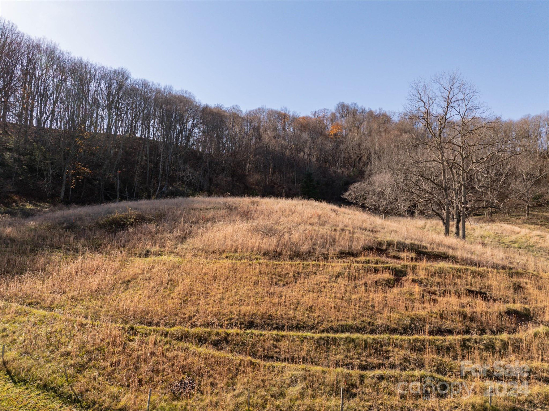 TBD Belmont Drive - Photo 3