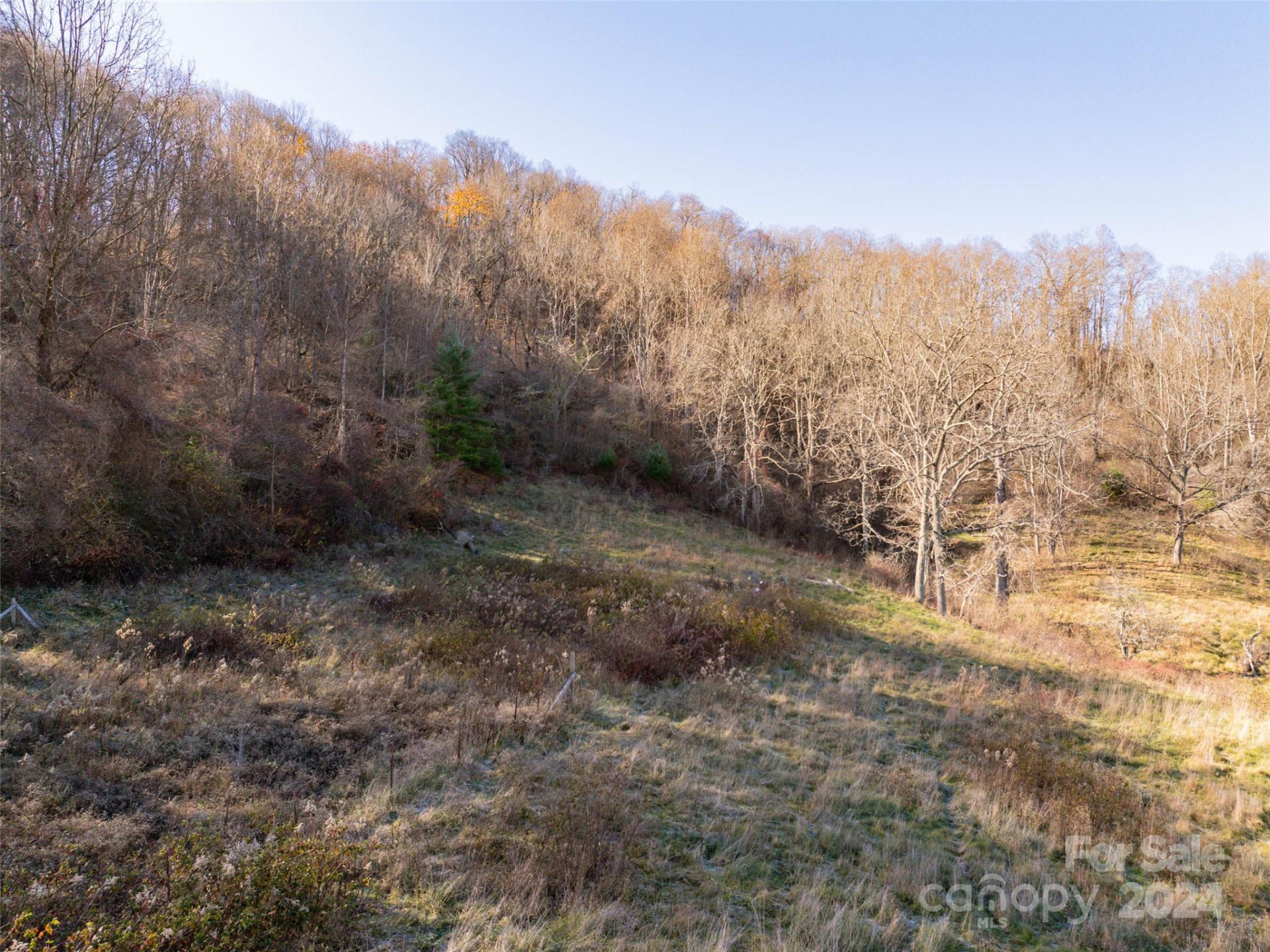 TBD Belmont Drive - Photo 4