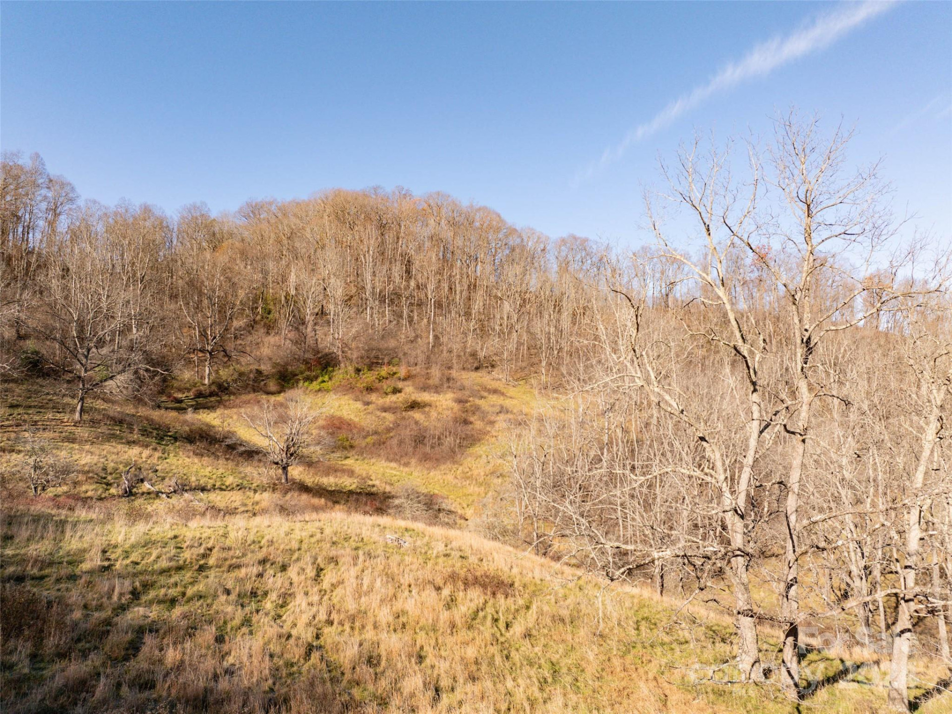 TBD Belmont Drive - Photo 5