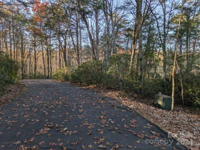 0 Willow Lane, Columbus, NC, 28722