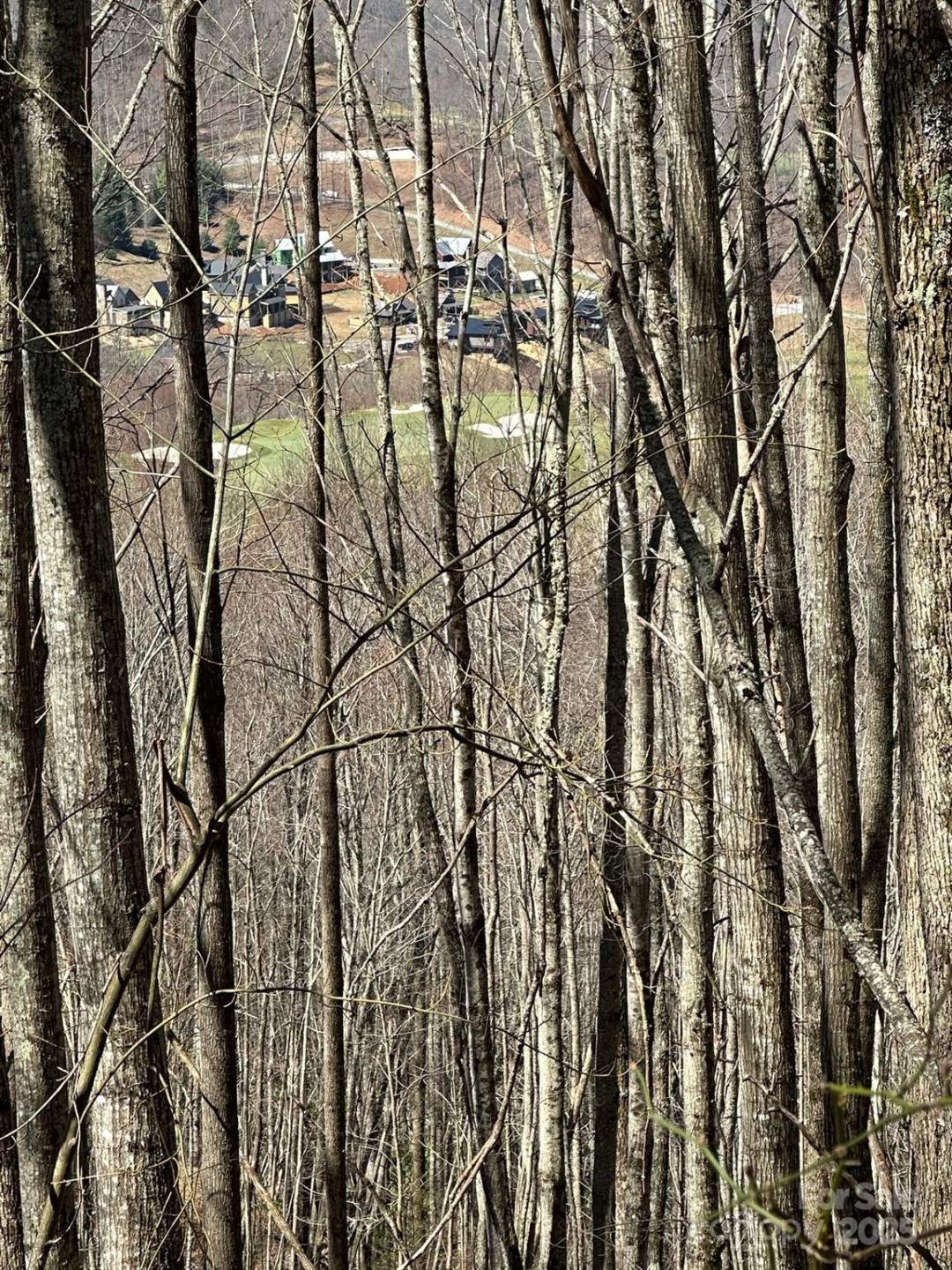 146 Clubhouse Road #99 - Photo 2