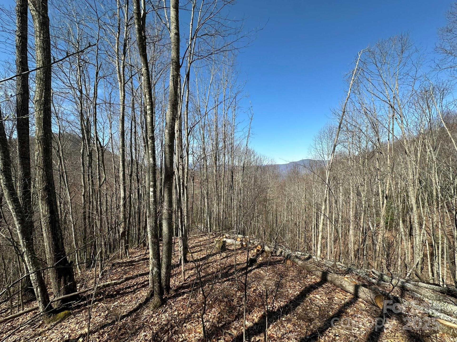 146 Clubhouse Road #99 - Photo 3