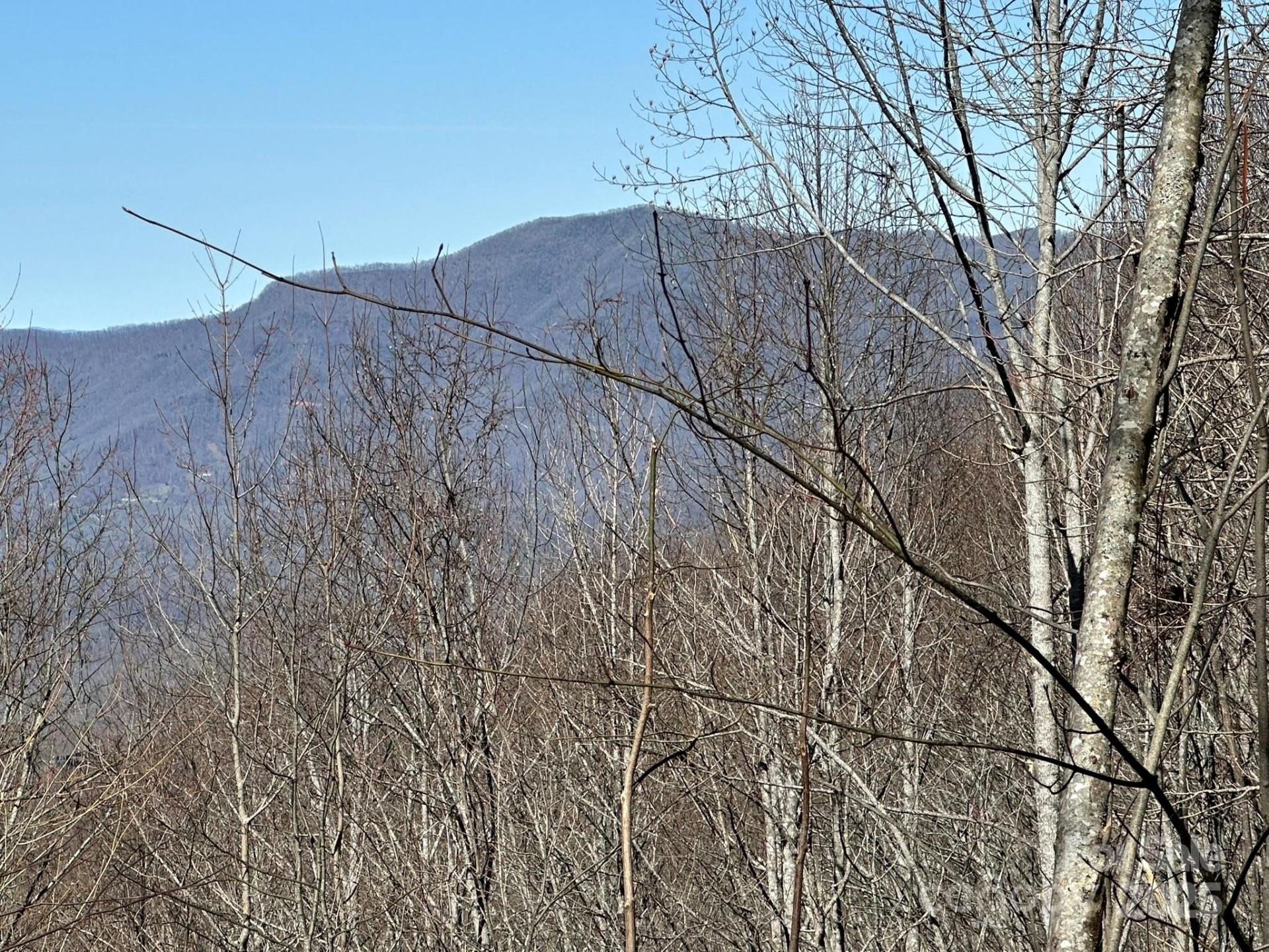 146 Clubhouse Road #99 - Photo 5