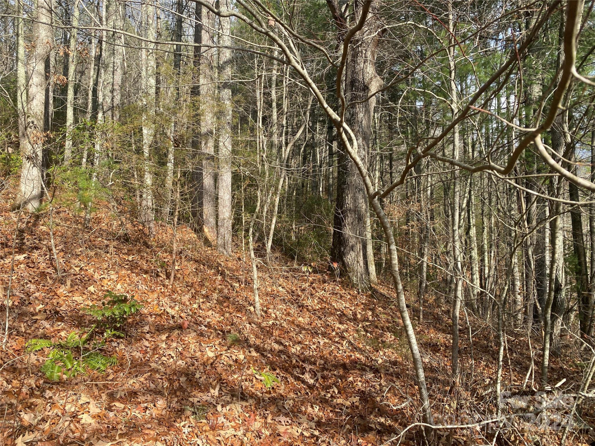 0 Gospel Drive - Photo 2