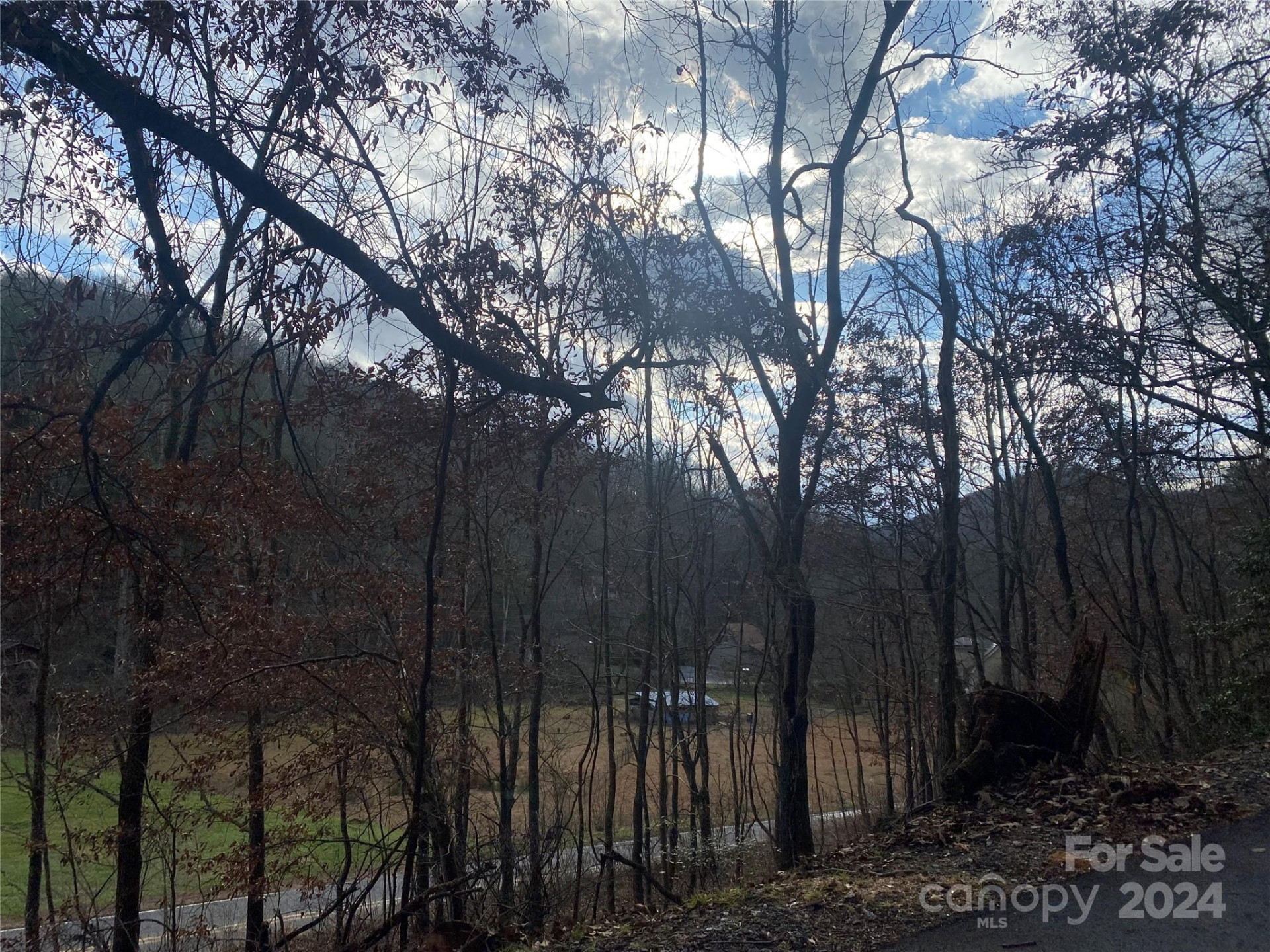 0 Gospel Drive - Photo 11