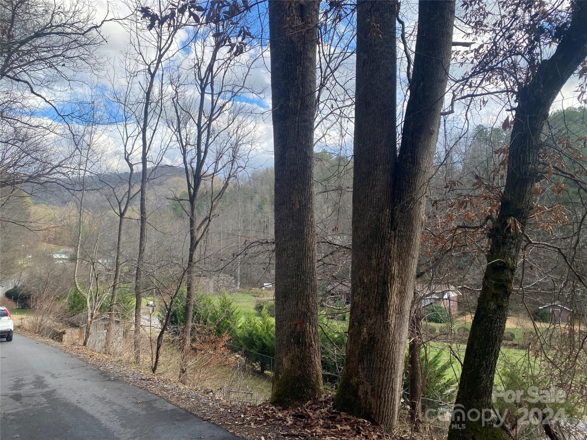 0 Gospel Drive - Photo 13