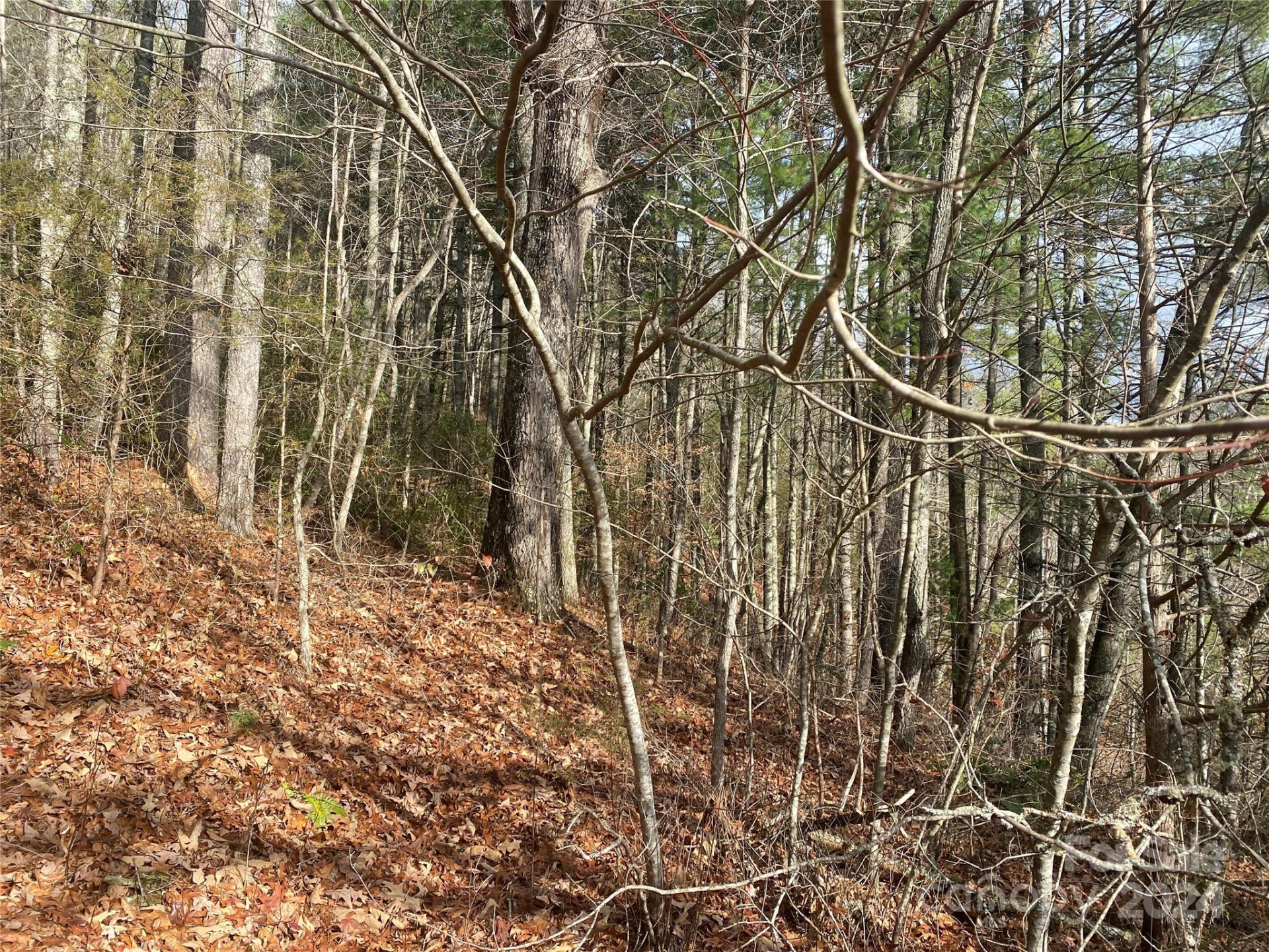 0 Gospel Drive - Photo 3