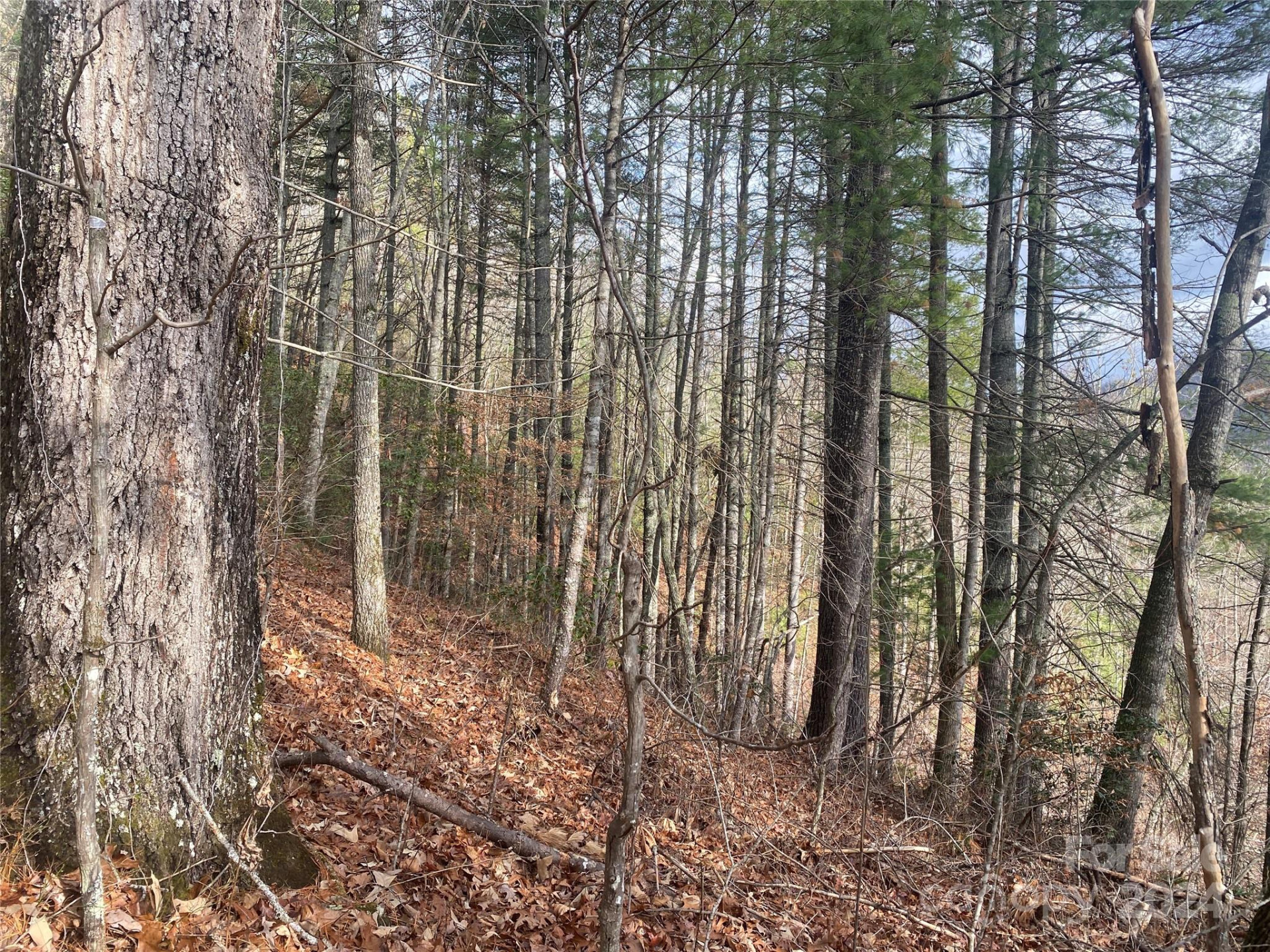 0 Gospel Drive - Photo 4