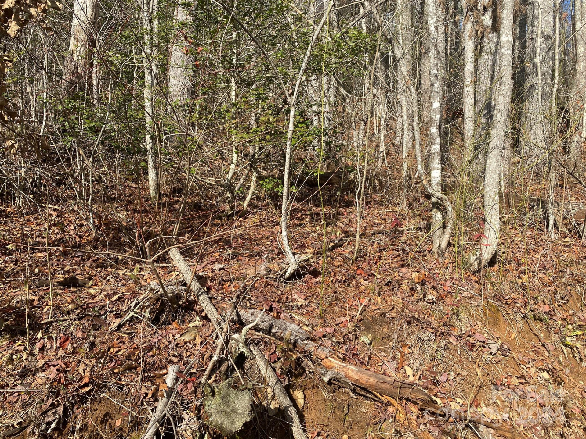 0 Gospel Drive - Photo 6