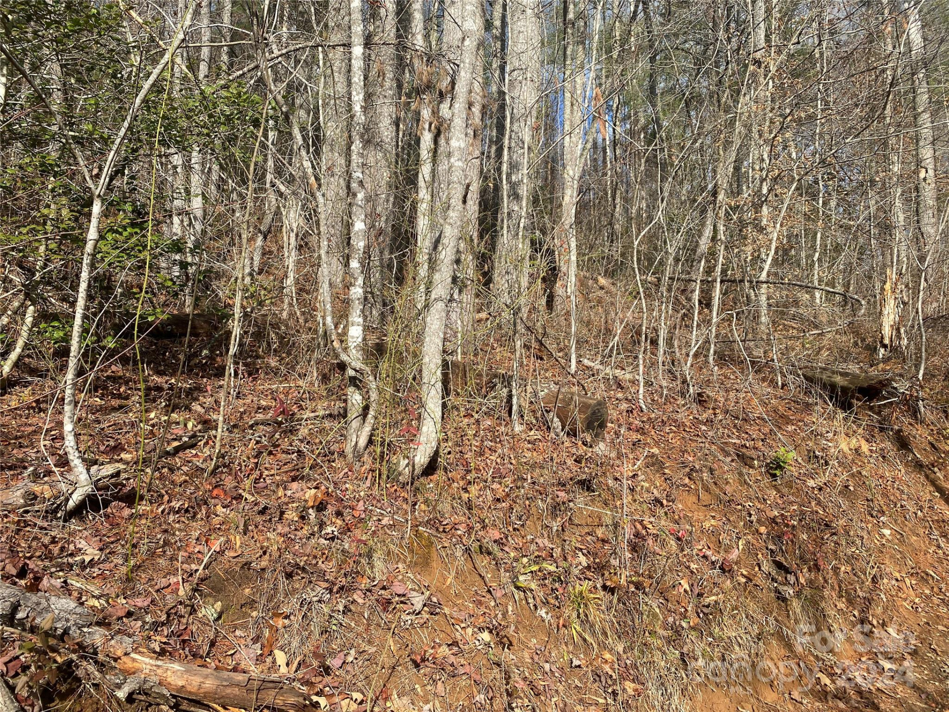 0 Gospel Drive - Photo 7