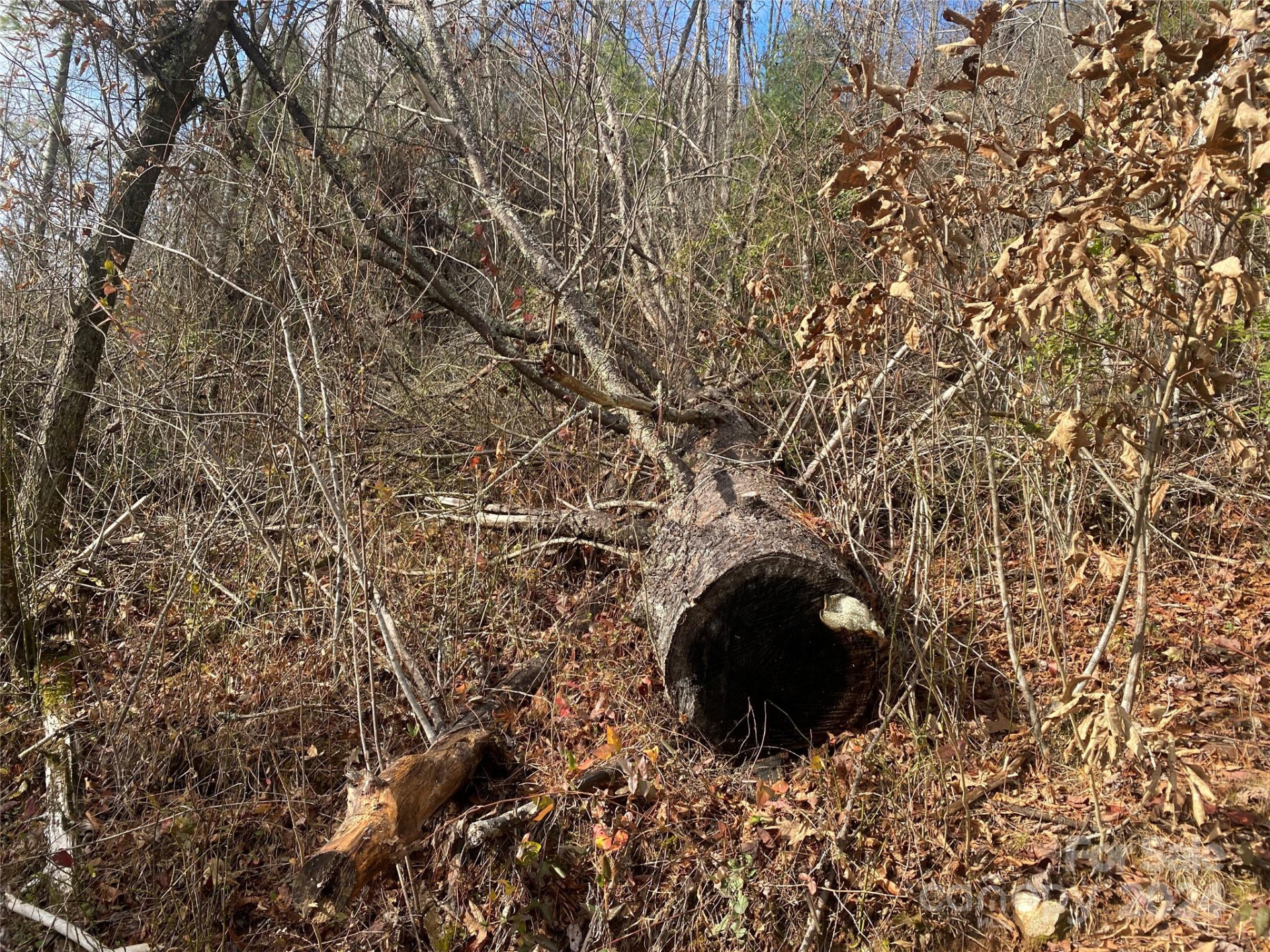 0 Gospel Drive - Photo 8