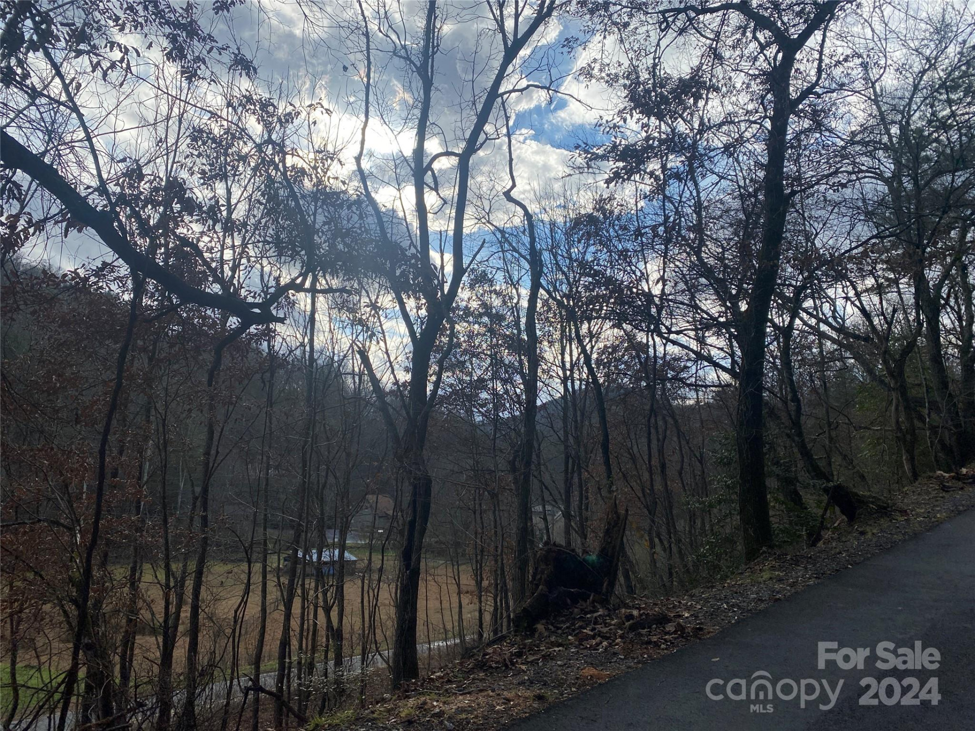 0 Gospel Drive - Photo 10