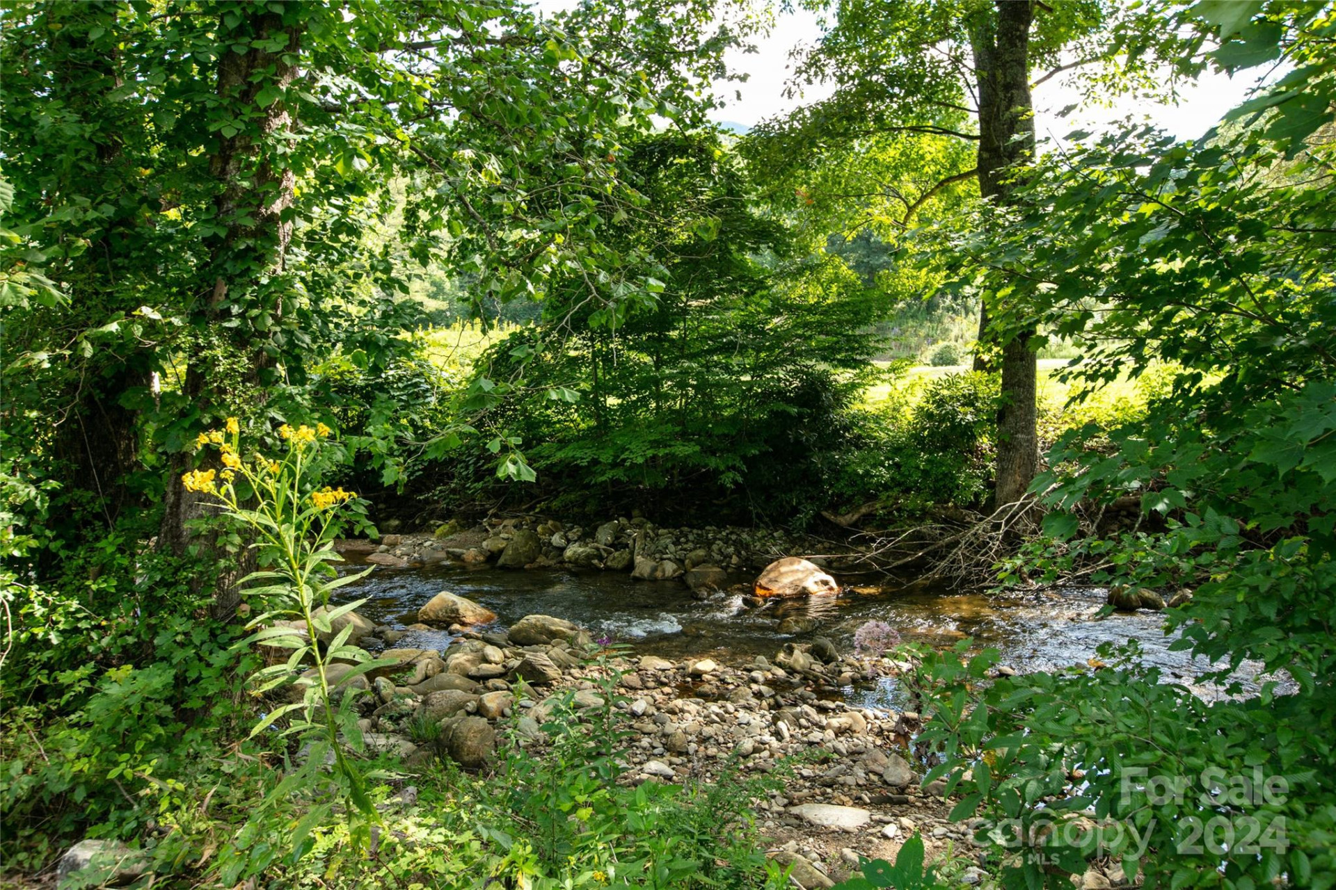 00000 Scout Trail #15