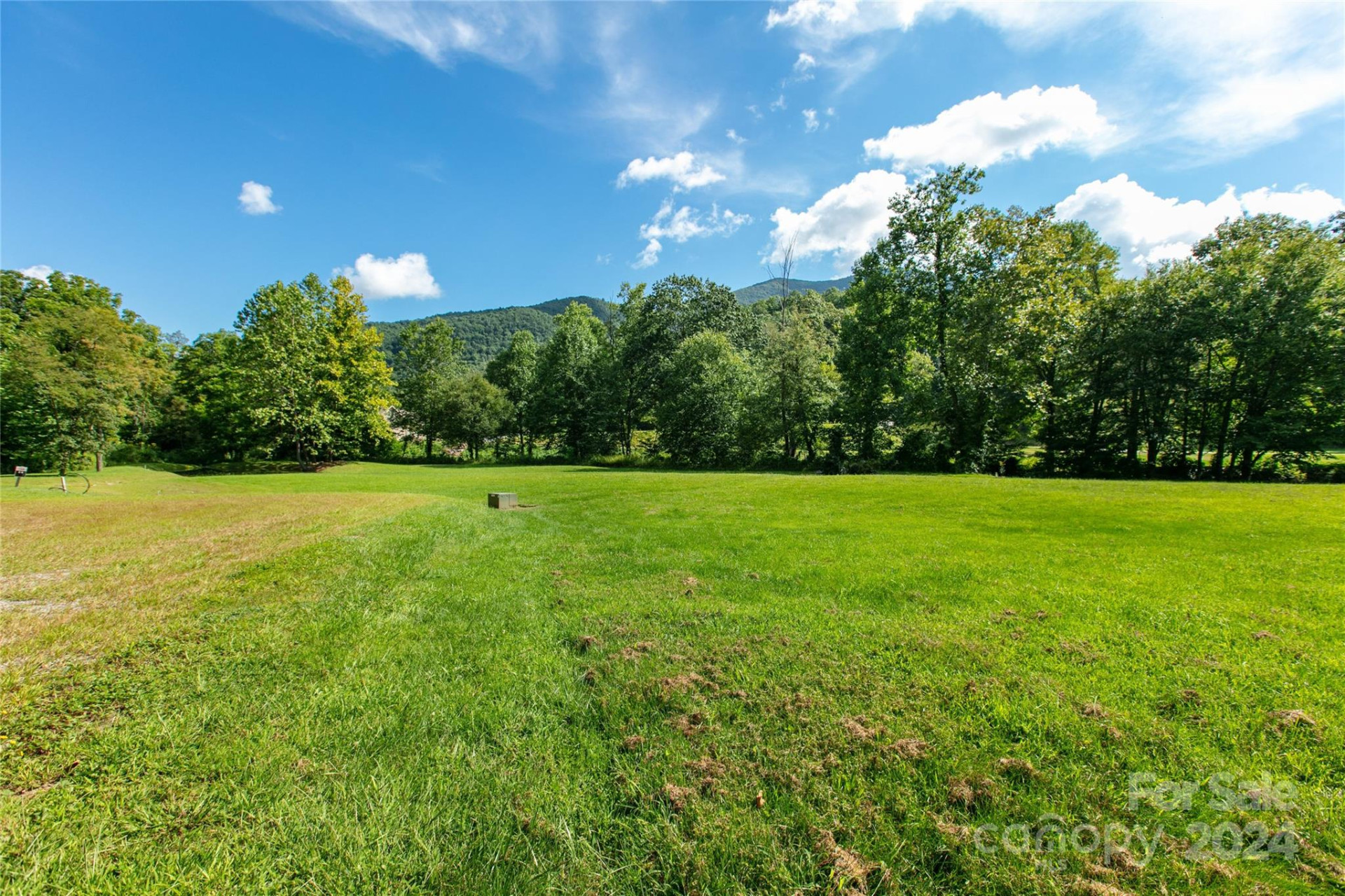 00000 Scout Trail #15 - Photo 3