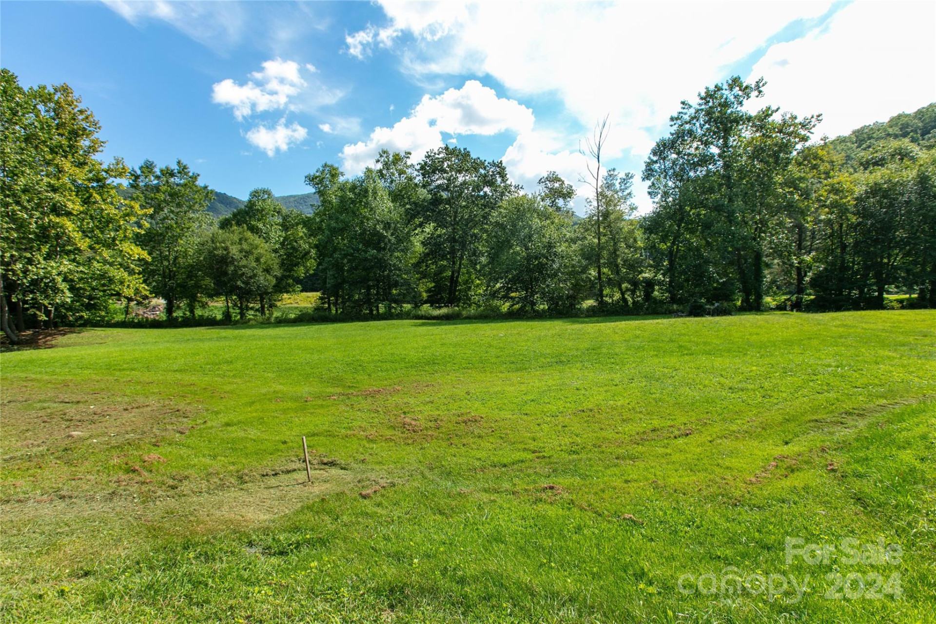 00000 Scout Trail #15 - Photo 4