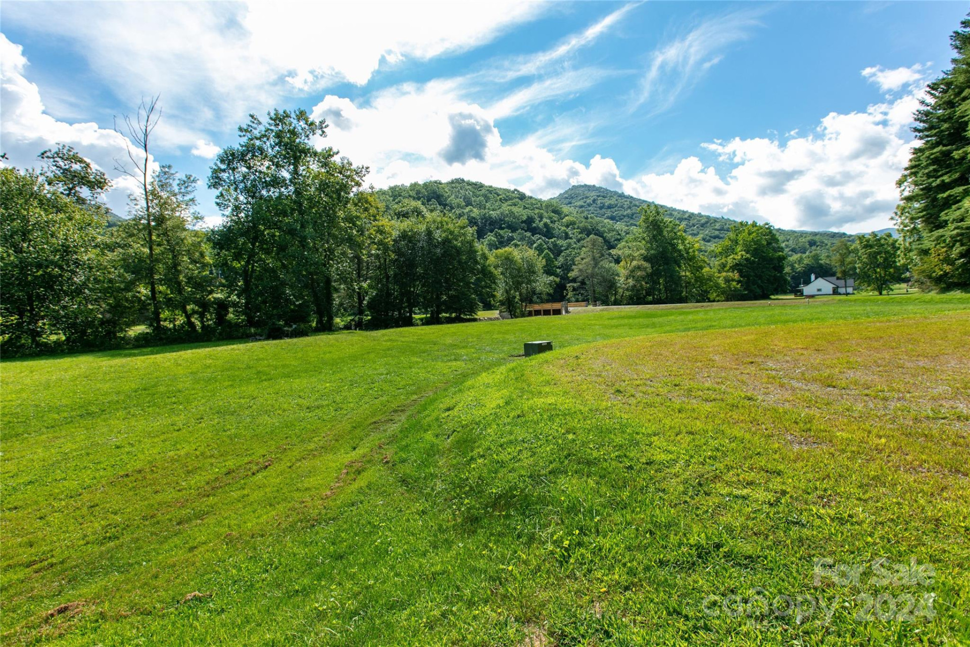 00000 Scout Trail #15 - Photo 5