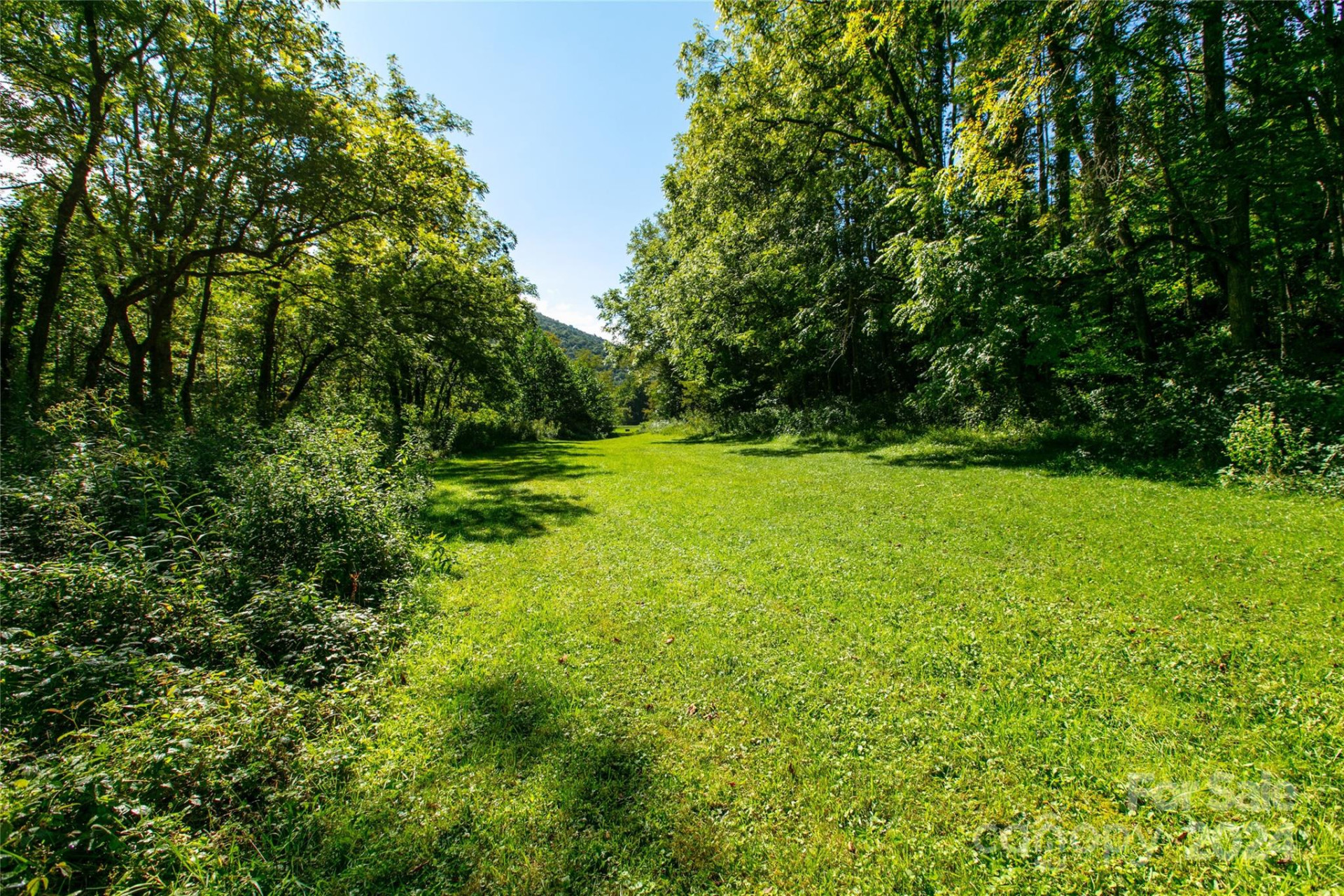 00000 Scout Trail #14 - Photo 3