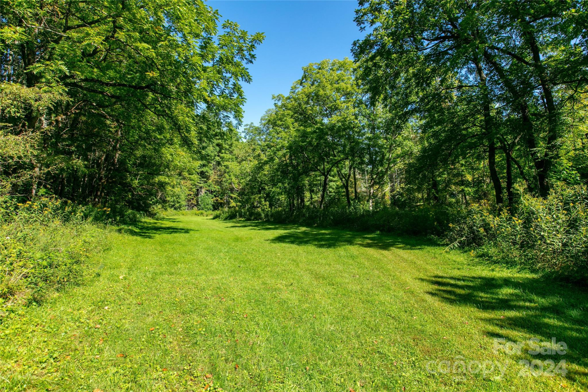 00000 Scout Trail #14 - Photo 4