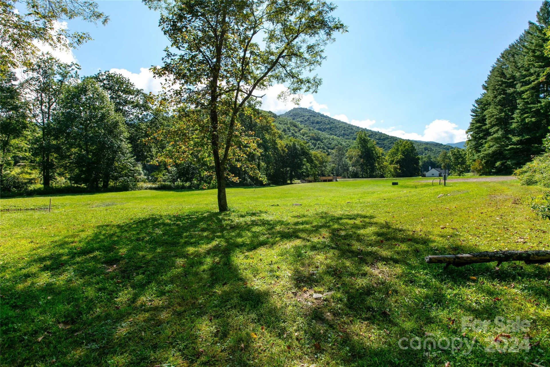 00000 Scout Trail #14 - Photo 6