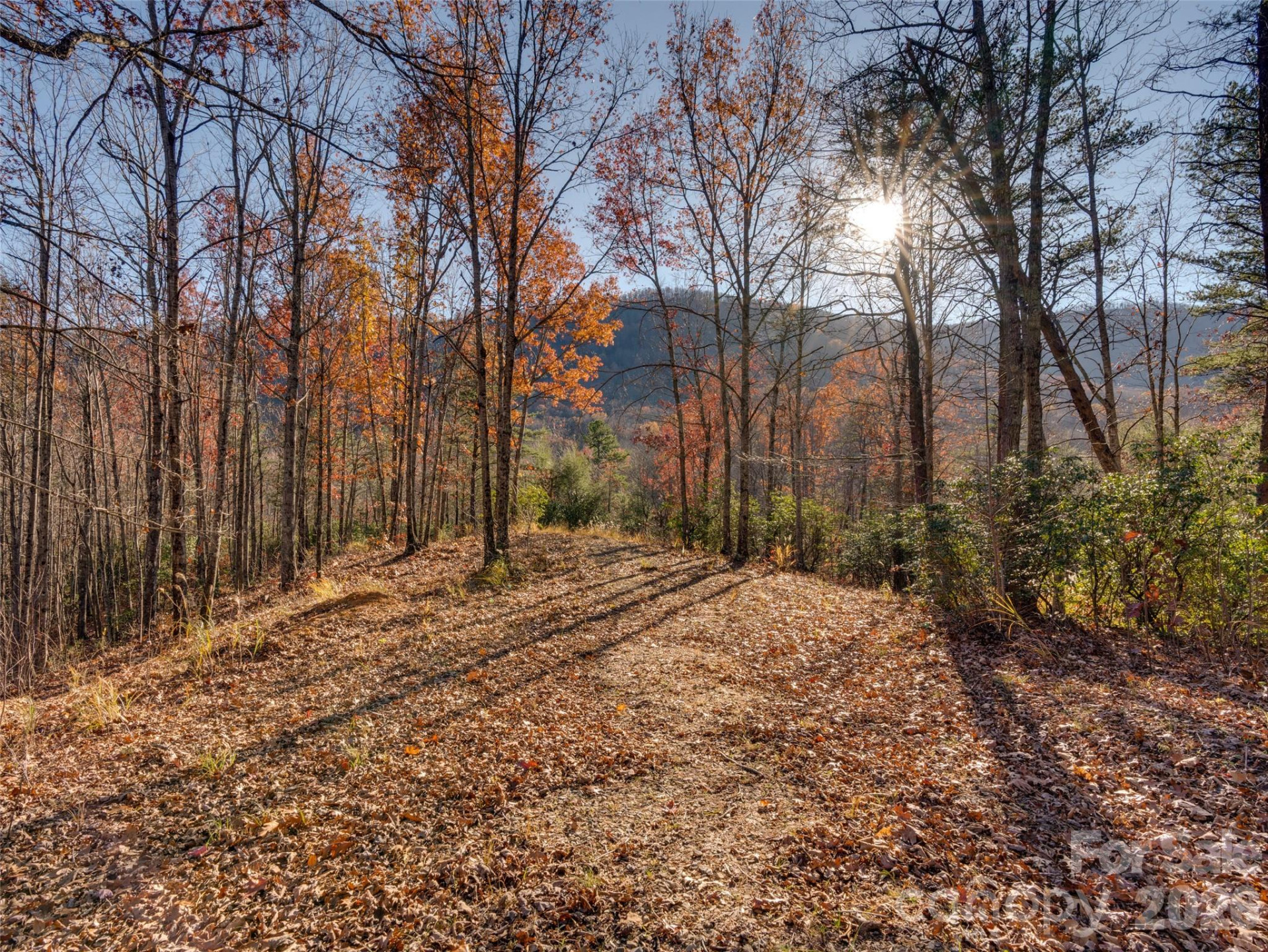 263 Nuthatch Lane - Photo 2