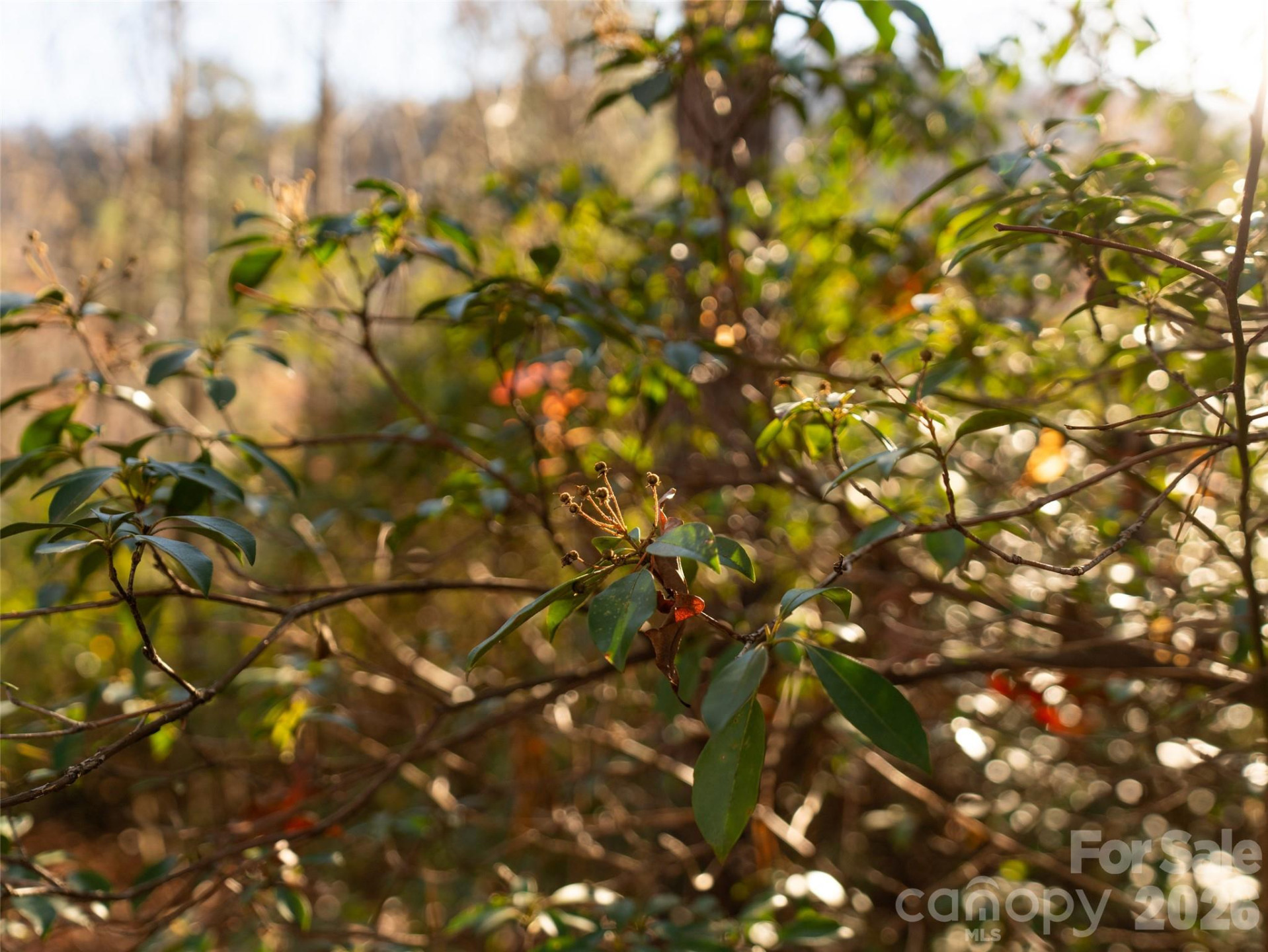 263 Nuthatch Lane - Photo 11