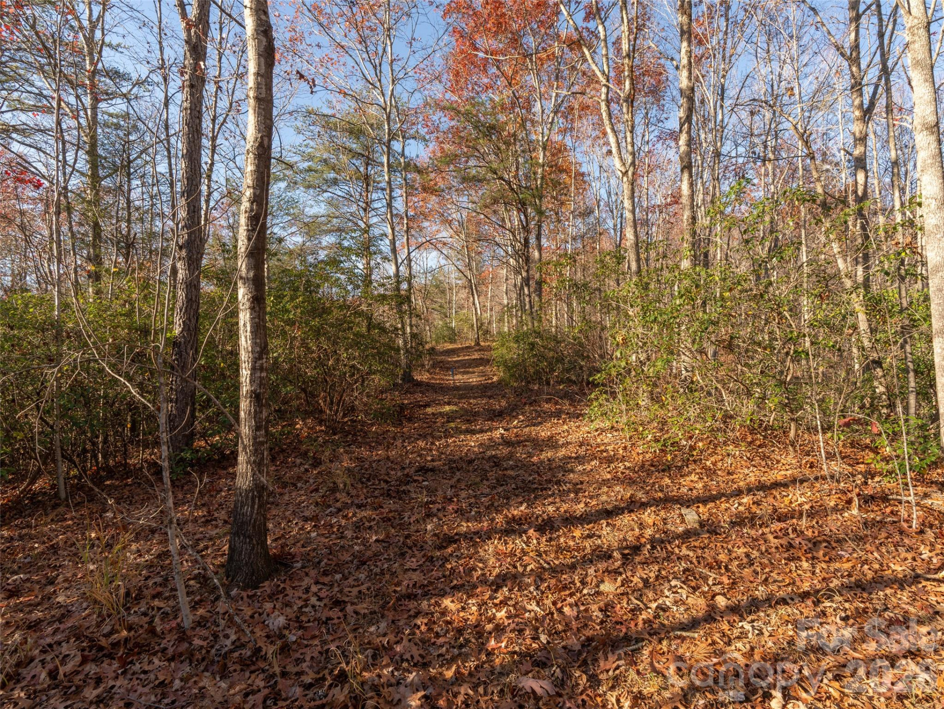 263 Nuthatch Lane - Photo 12